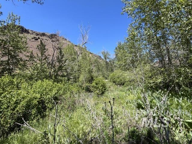 TBD NE Syrup Creek Rd., Mountain Home, Idaho 83647, Land For Sale, Price $320,000,MLS 98929564