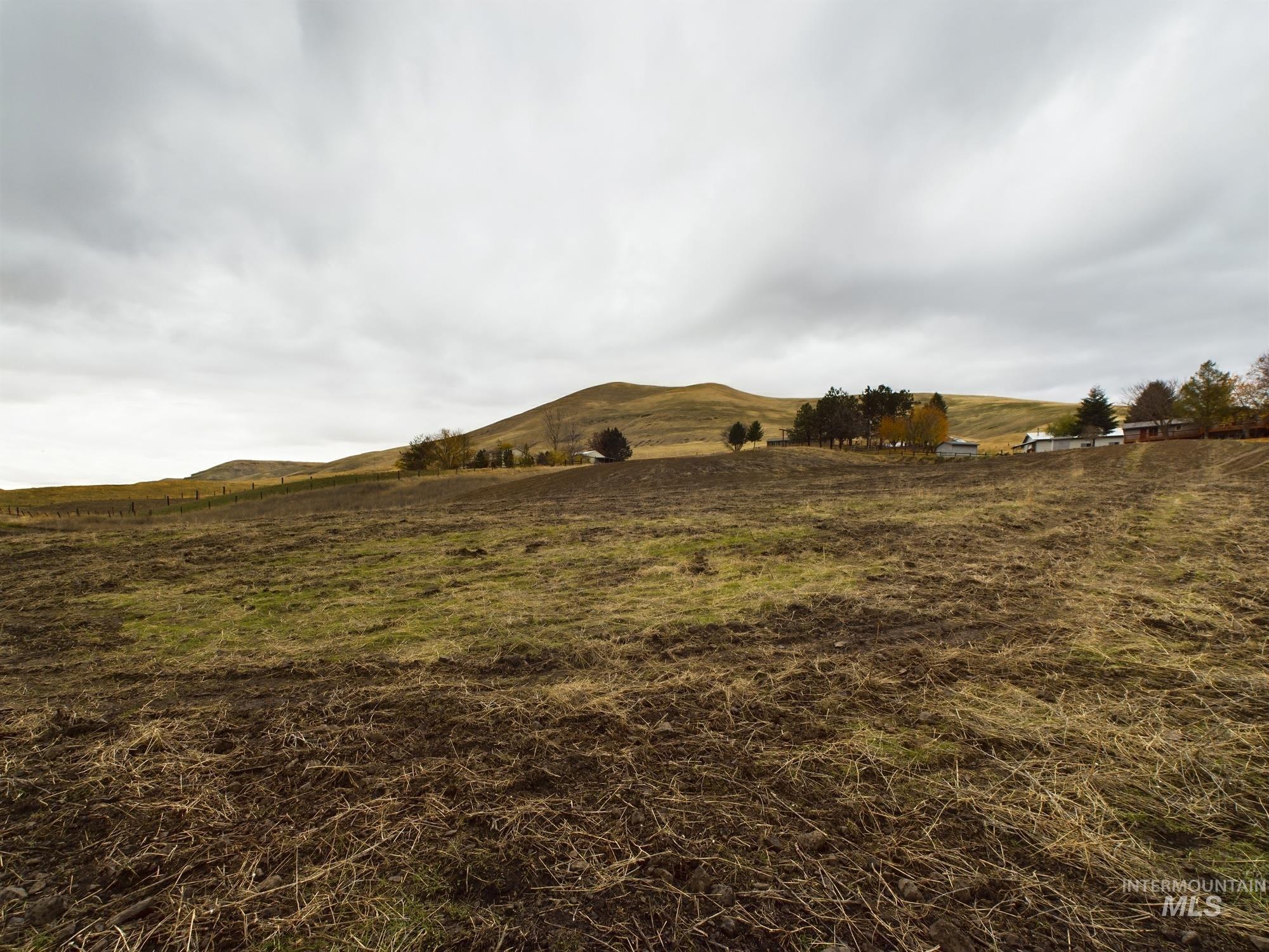 TBD Highway 12, Juliaetta, Idaho 83535, Land For Sale, Price $395,000, 98929763
