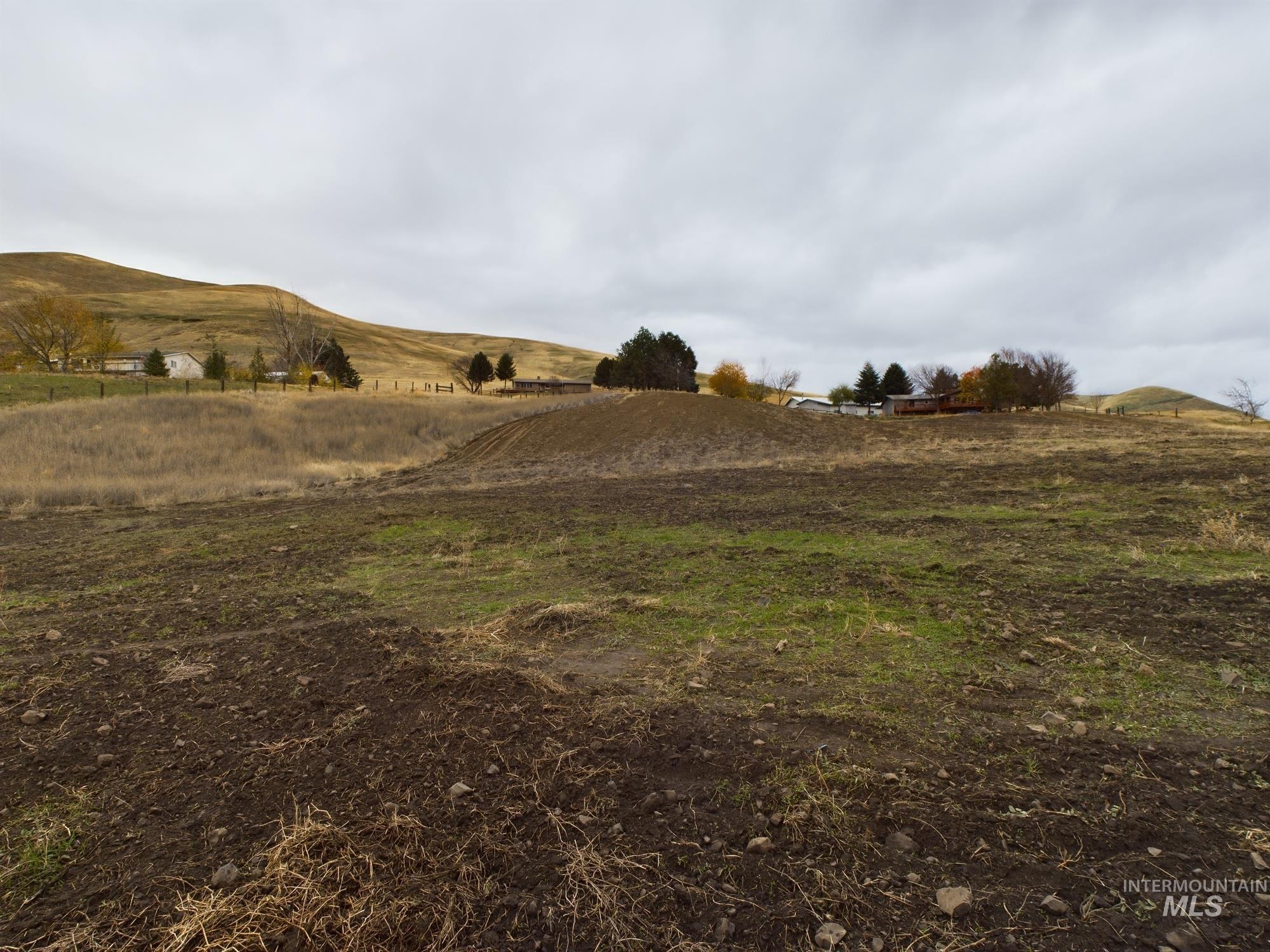 TBD Highway 12, Juliaetta, Idaho 83535, Land For Sale, Price $395,000, 98929763