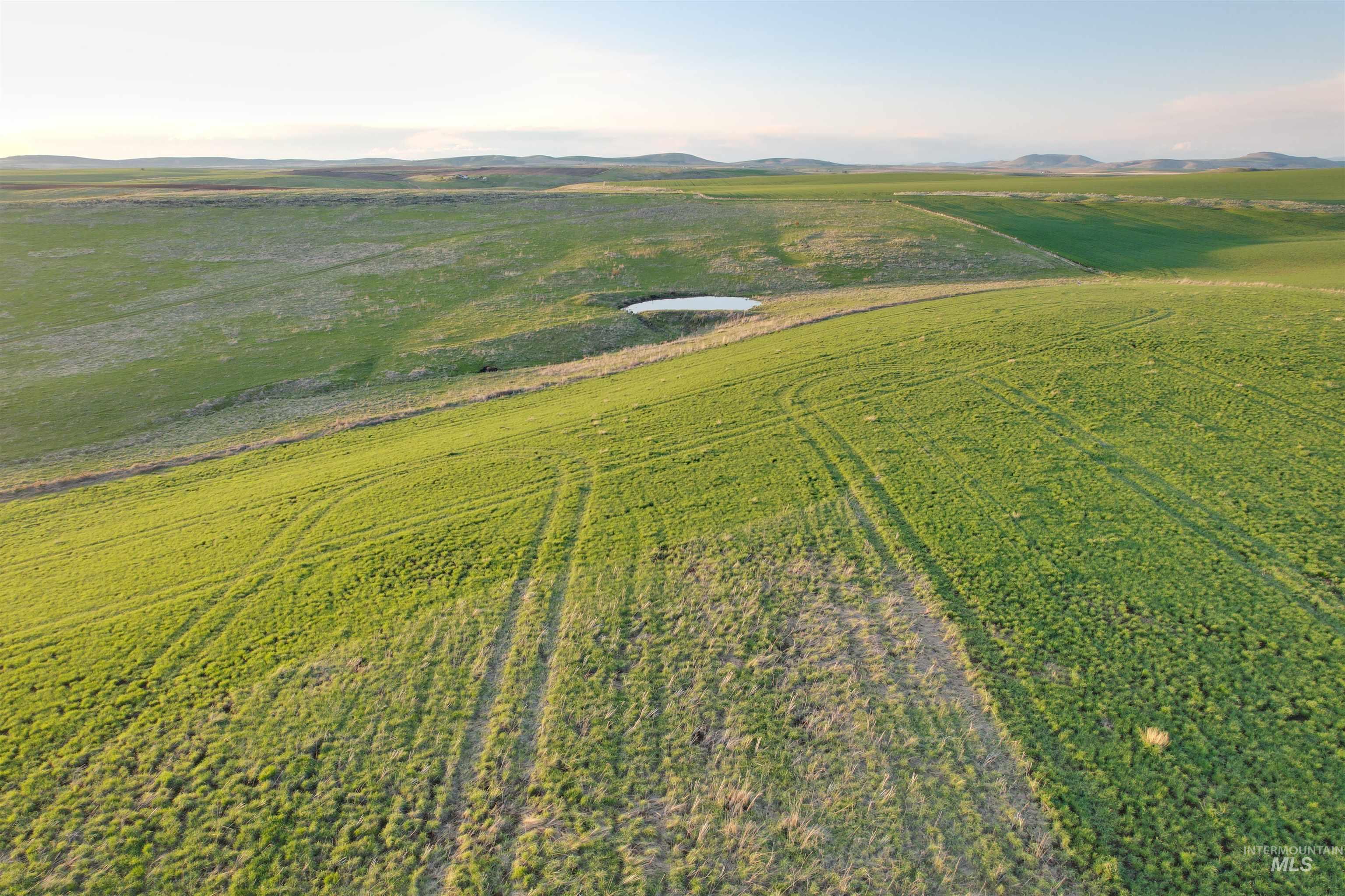 TBD Creek View Lane - Lots 4, 5 and 6, Grangeville, Idaho 83530, Land For Sale, Price $499,000,MLS 98929861