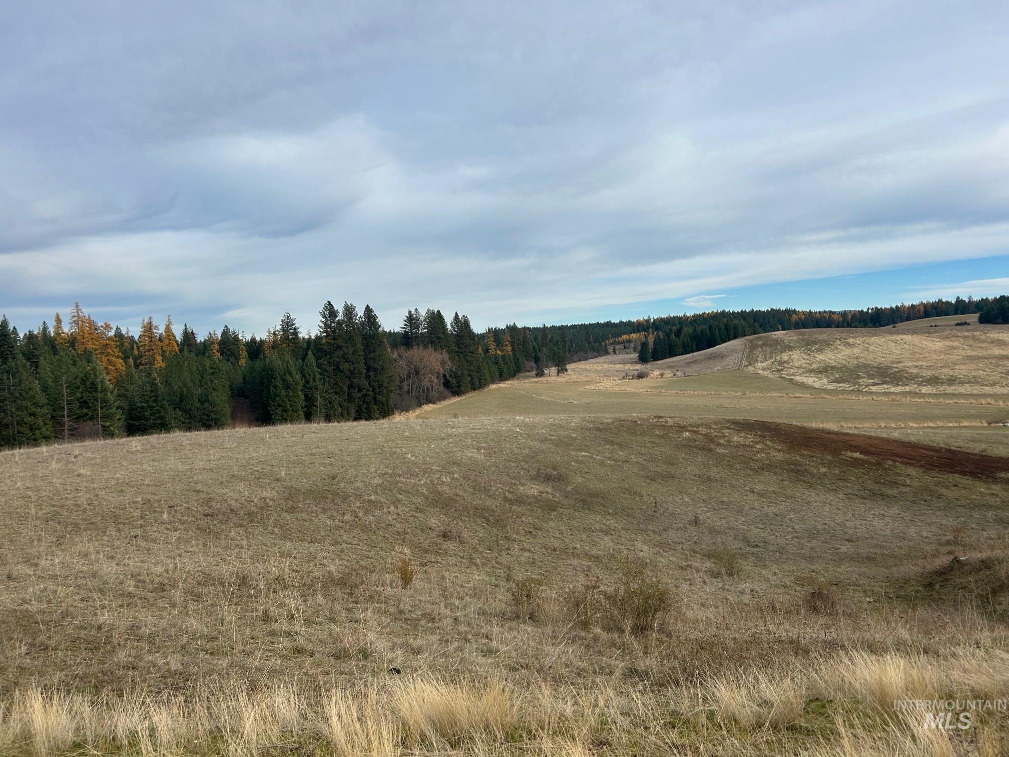 2521 Three Mile Road, Weippe, Idaho 83553, Land For Sale, Price $150,000,MLS 98930018