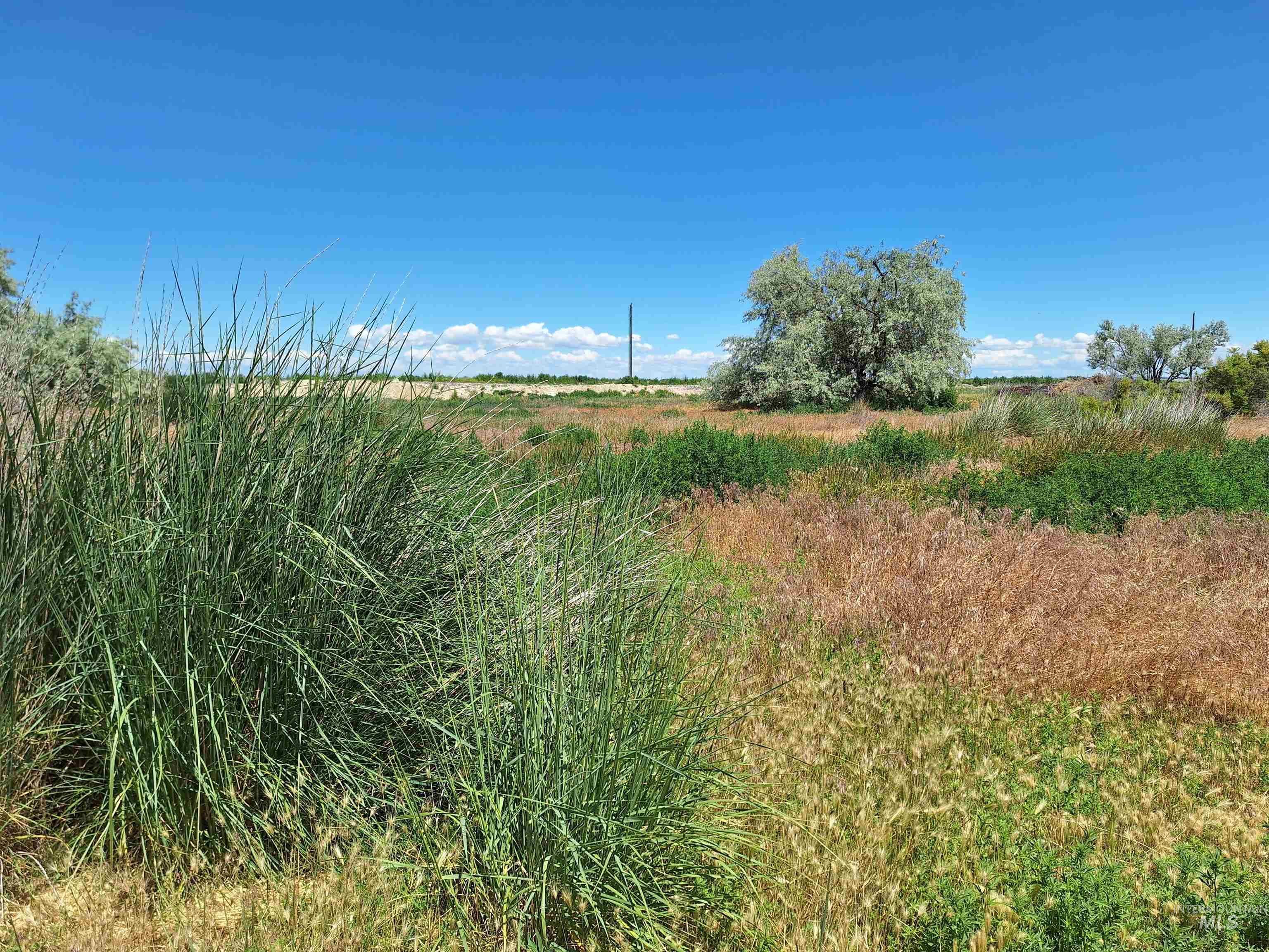 2875 Sagebrush Ln, Homedale, Idaho 83628, Land For Sale, Price $162,900,MLS 98930050