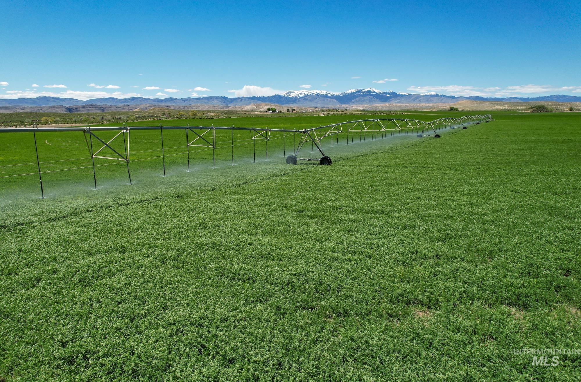 18138 Oreana Loop Road, Murphy, Idaho 83650, 3 Bedrooms, 2 Bathrooms, Farm & Ranch For Sale, Price $5,750,000, 98930116