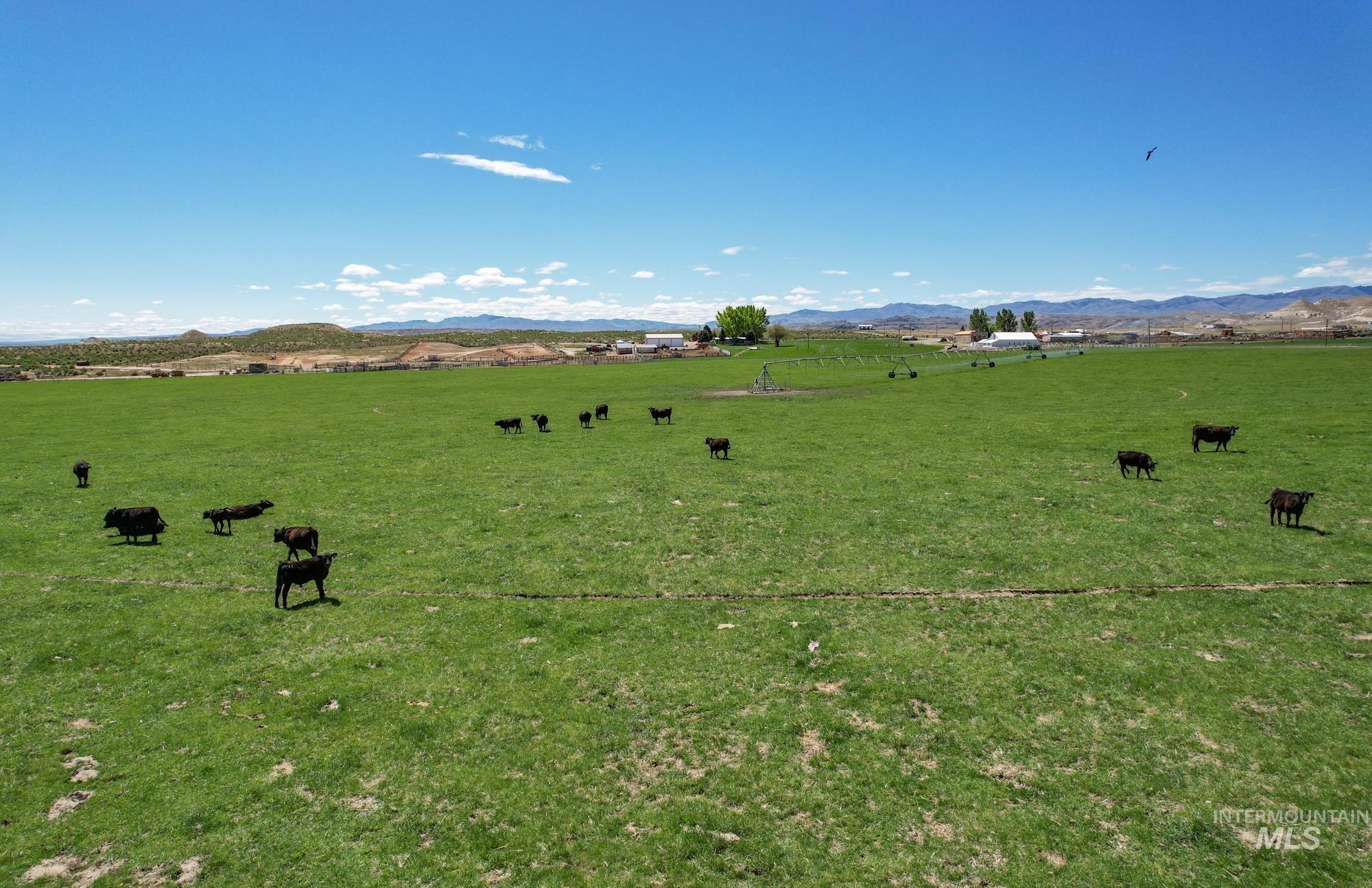 18138 Oreana Loop Road, Murphy, Idaho 83650, 3 Bedrooms, 2 Bathrooms, Farm & Ranch For Sale, Price $5,750,000, 98930116