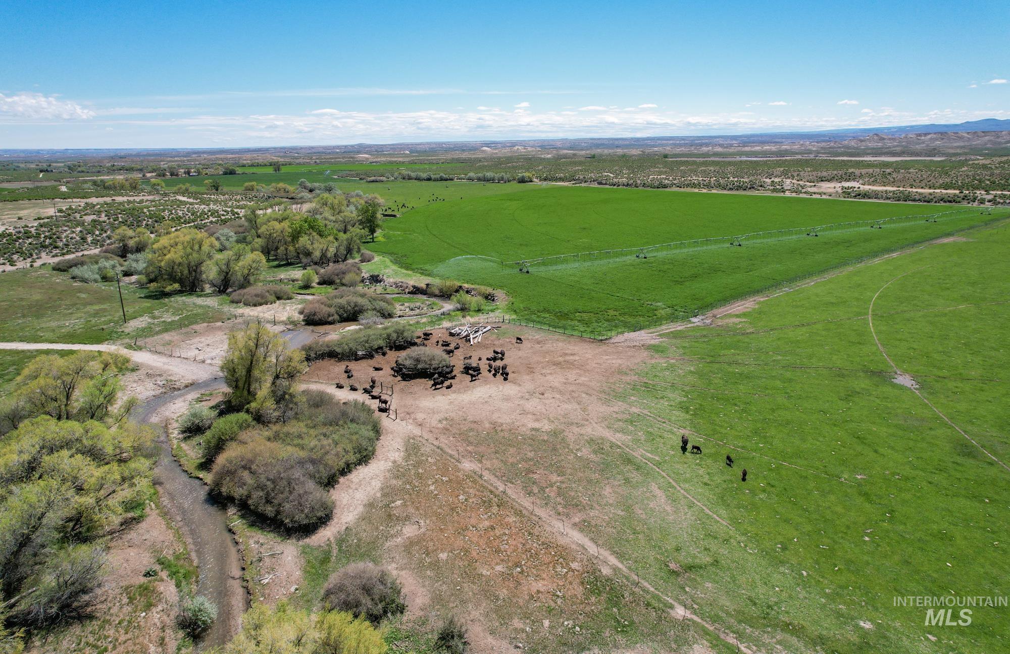 18138 Oreana Loop Road, Murphy, Idaho 83650, 3 Bedrooms, 2 Bathrooms, Farm & Ranch For Sale, Price $5,750,000, 98930116