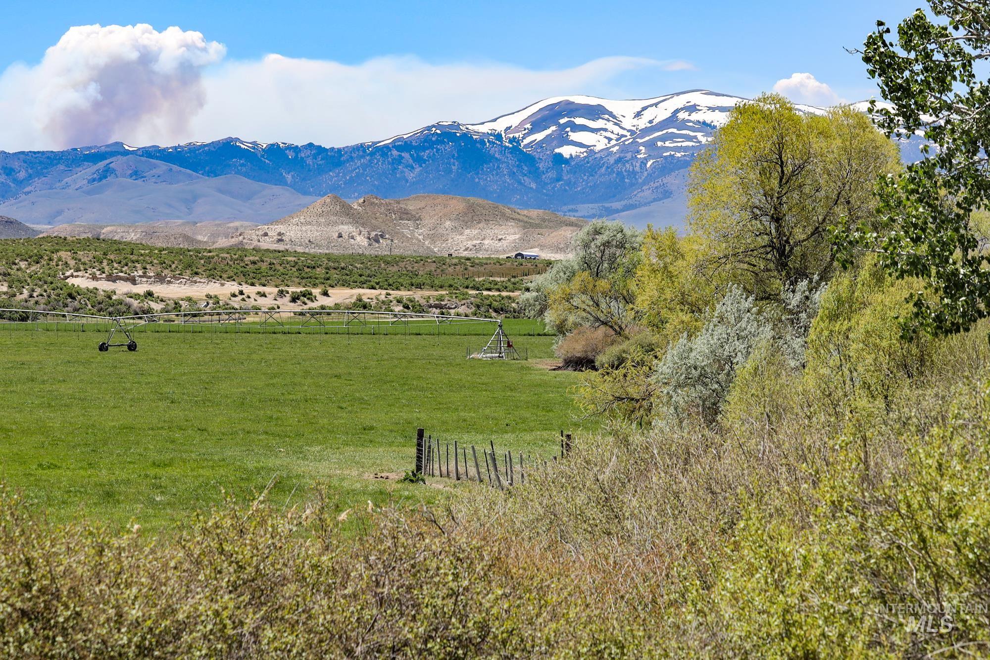18138 Oreana Loop Road, Murphy, Idaho 83650, 3 Bedrooms, 2 Bathrooms, Farm & Ranch For Sale, Price $5,750,000, 98930116