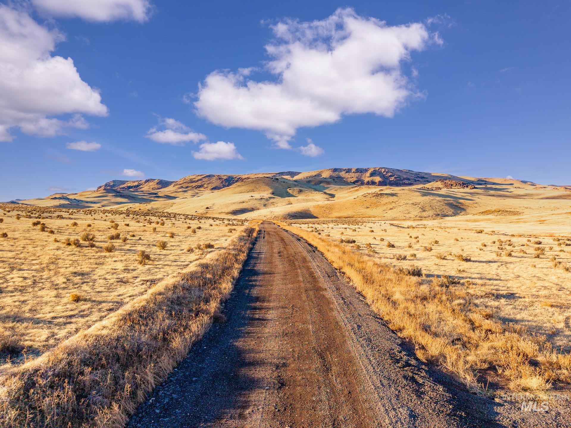 TBD McBride Road, Marsing, Idaho 83639, Land For Sale, Price $250,000, 98930152