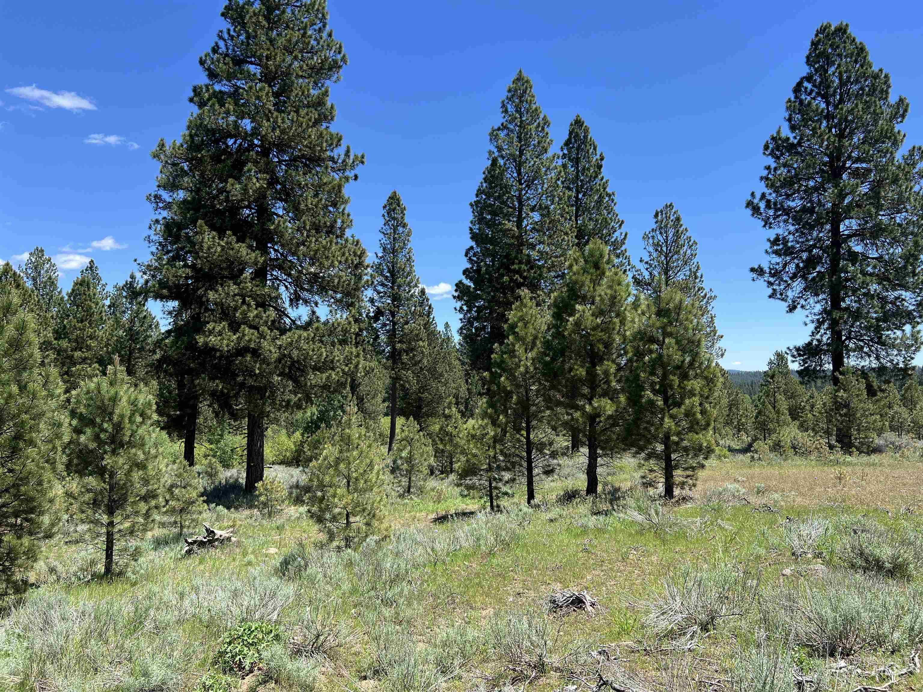Lot 3 Star Creek Ct, Placerville, Idaho 83631, Land For Sale, Price $175,000, 98930167
