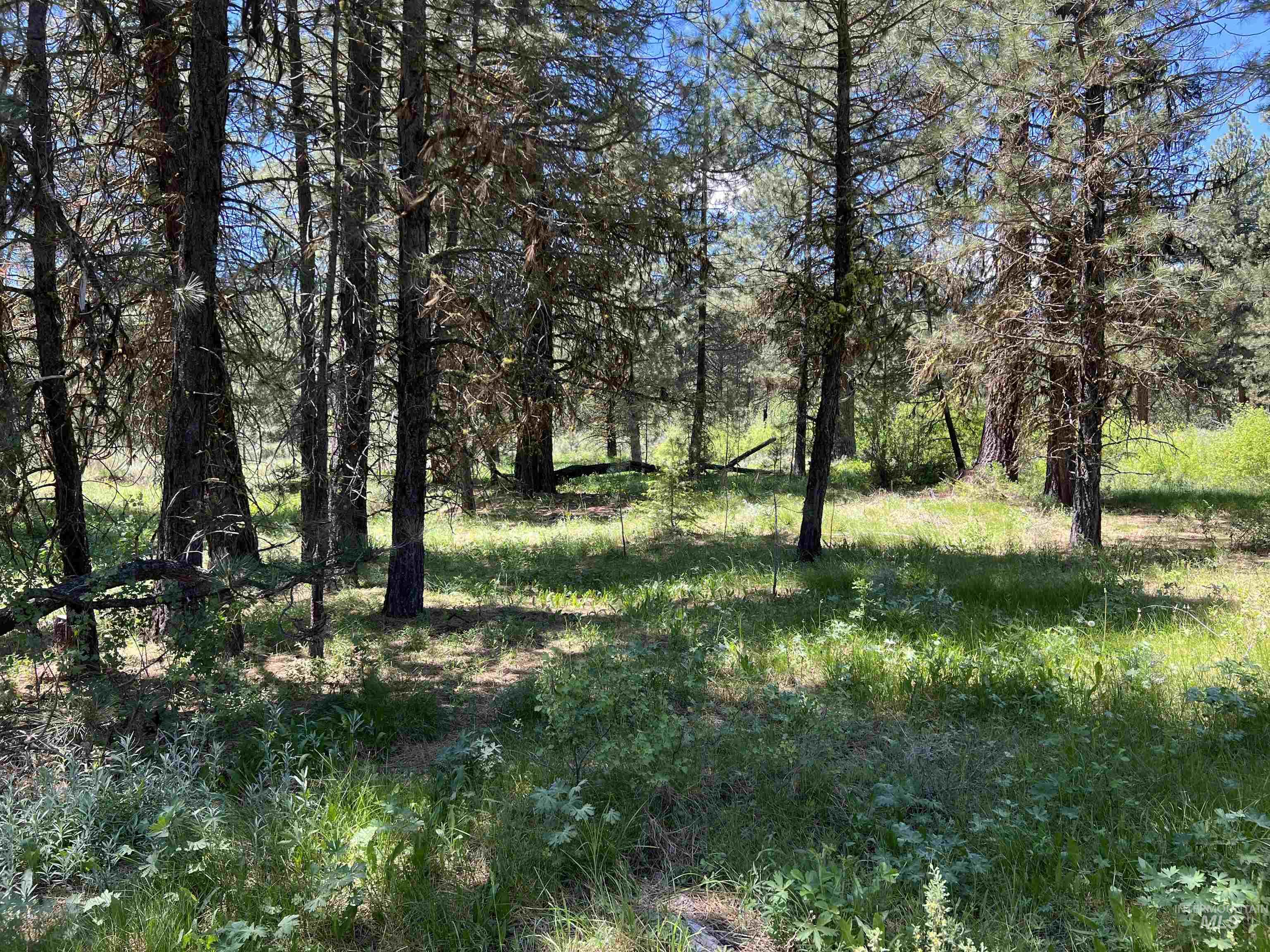 Lot 3 Star Creek Ct, Placerville, Idaho 83631, Land For Sale, Price $175,000,MLS 98930167