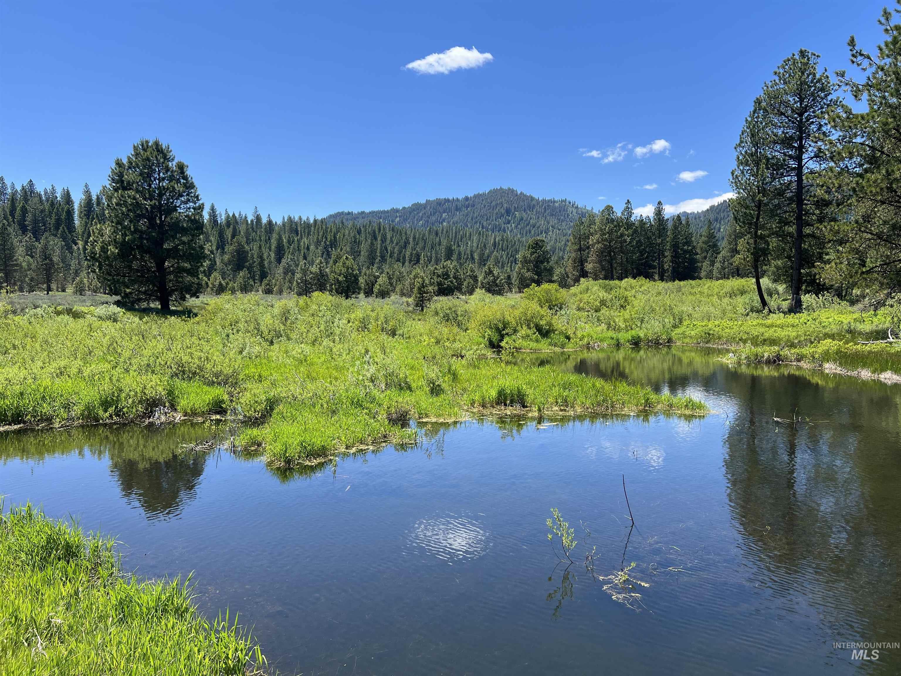 Lot 3 Star Creek Ct, Placerville, Idaho 83631, Land For Sale, Price $175,000, 98930167