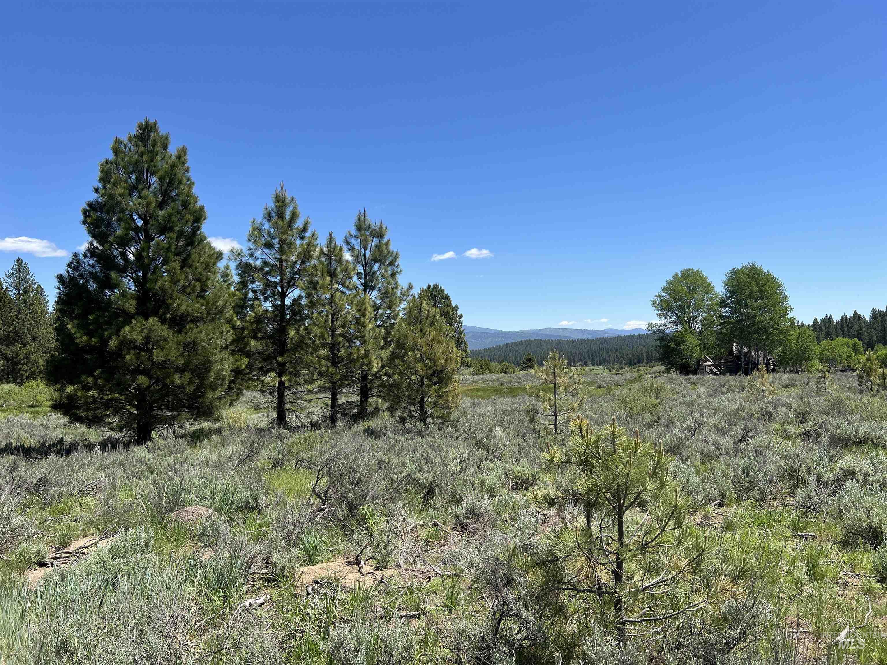 Lot 4 Star Creek Ct, Placerville, Idaho 83666, Land For Sale, Price $225,000, 98930170