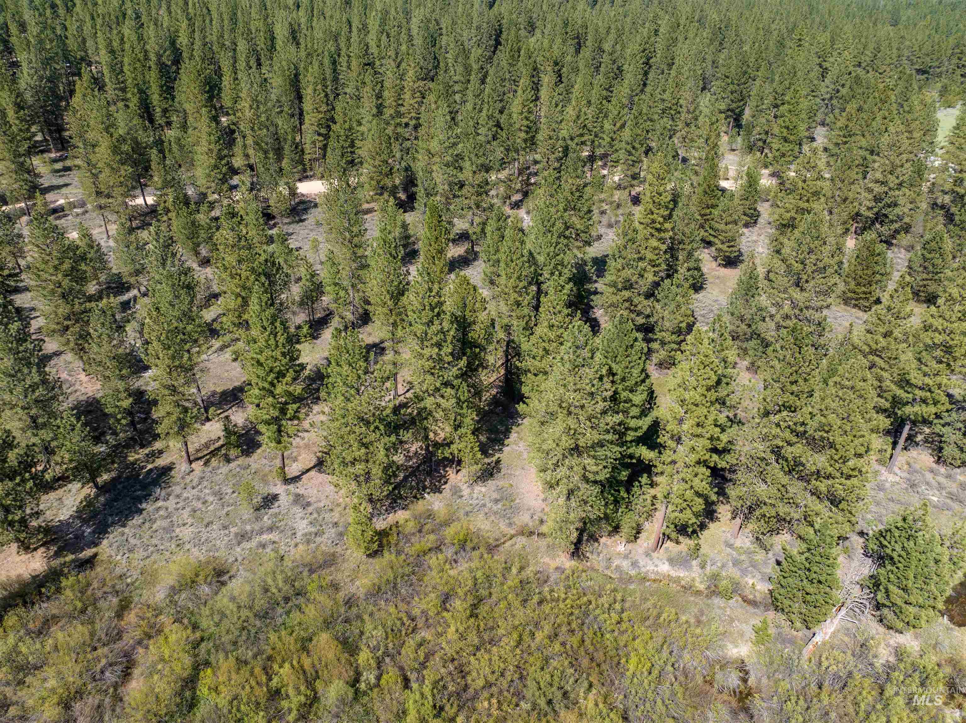 Lot 4 Star Creek Ct, Placerville, Idaho 83666, Land For Sale, Price $225,000, 98930170