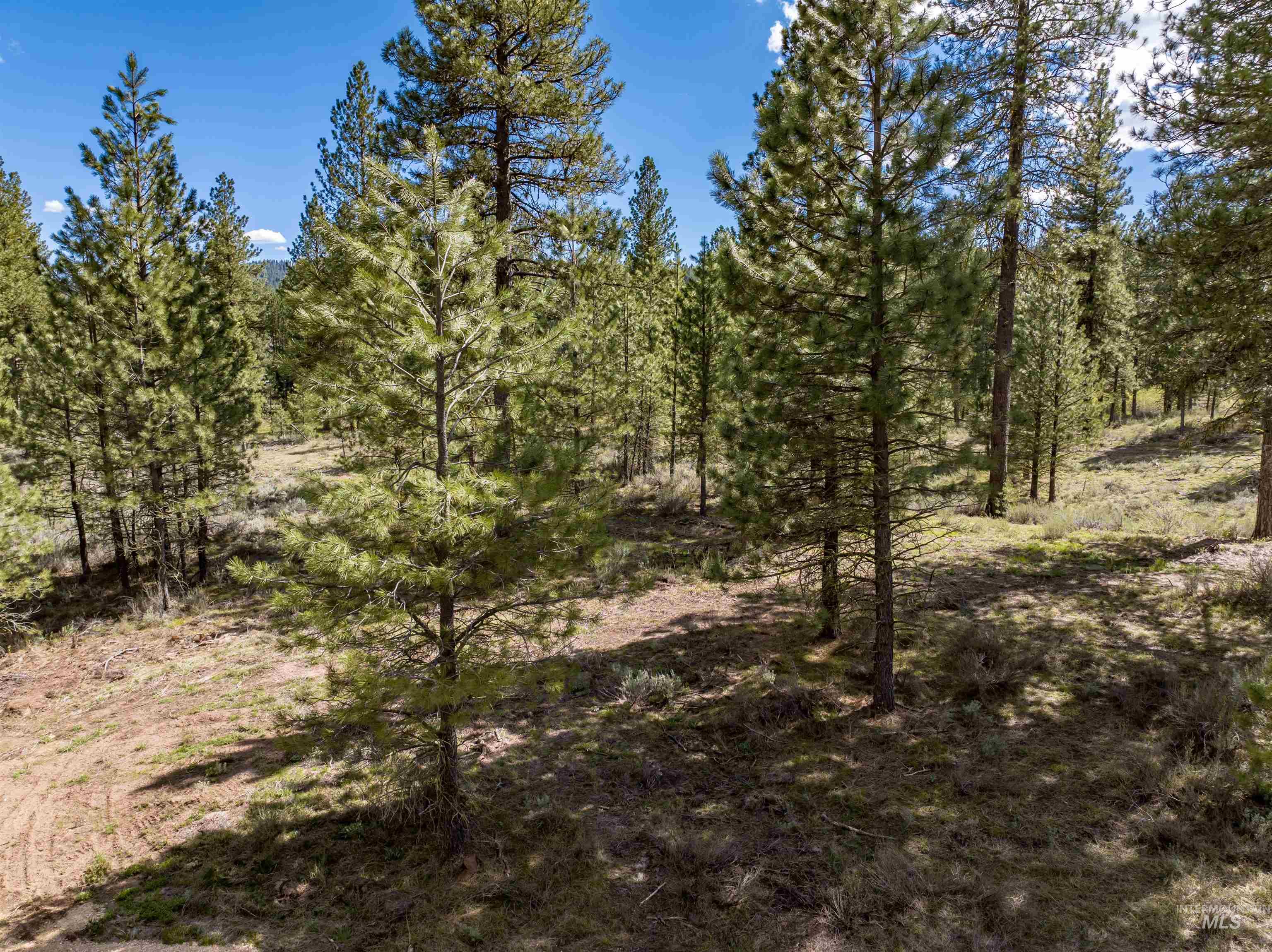 Lot 4 Star Creek Ct, Placerville, Idaho 83666, Land For Sale, Price $225,000, 98930170