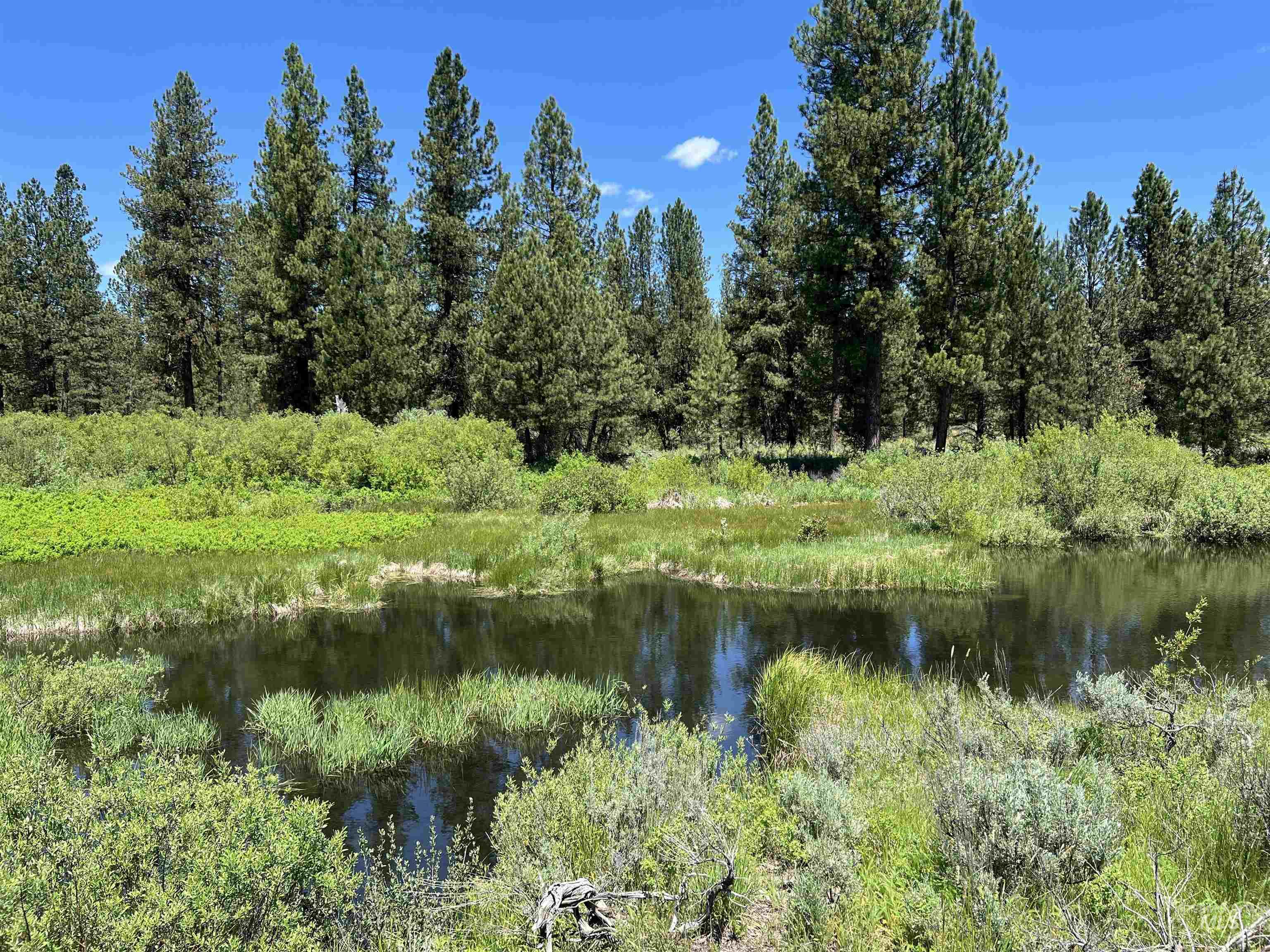 Lot 4 Star Creek Ct, Placerville, Idaho 83666, Land For Sale, Price $225,000, 98930170