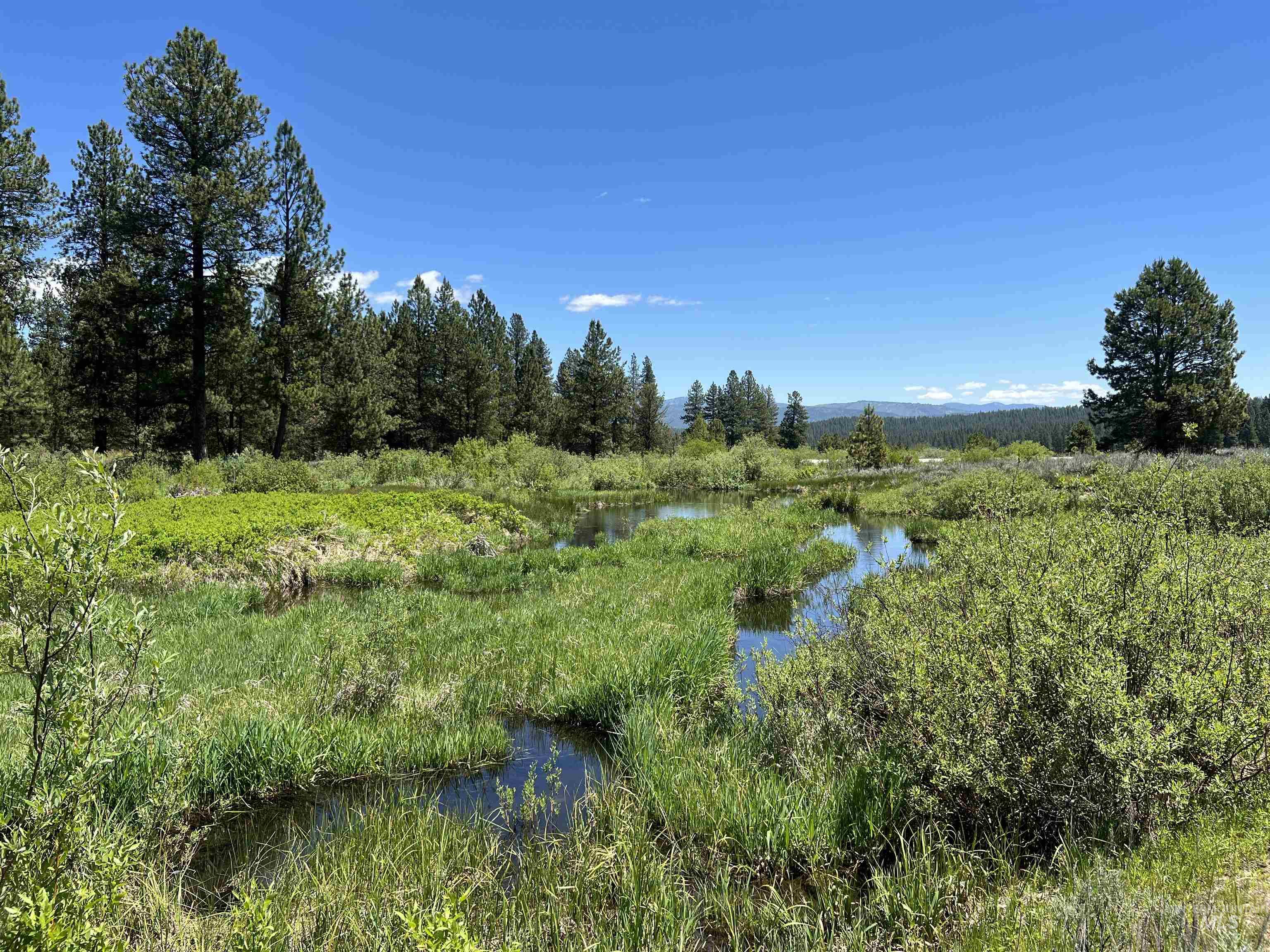 Lot 4 Star Creek Ct, Placerville, Idaho 83666, Land For Sale, Price $225,000, 98930170