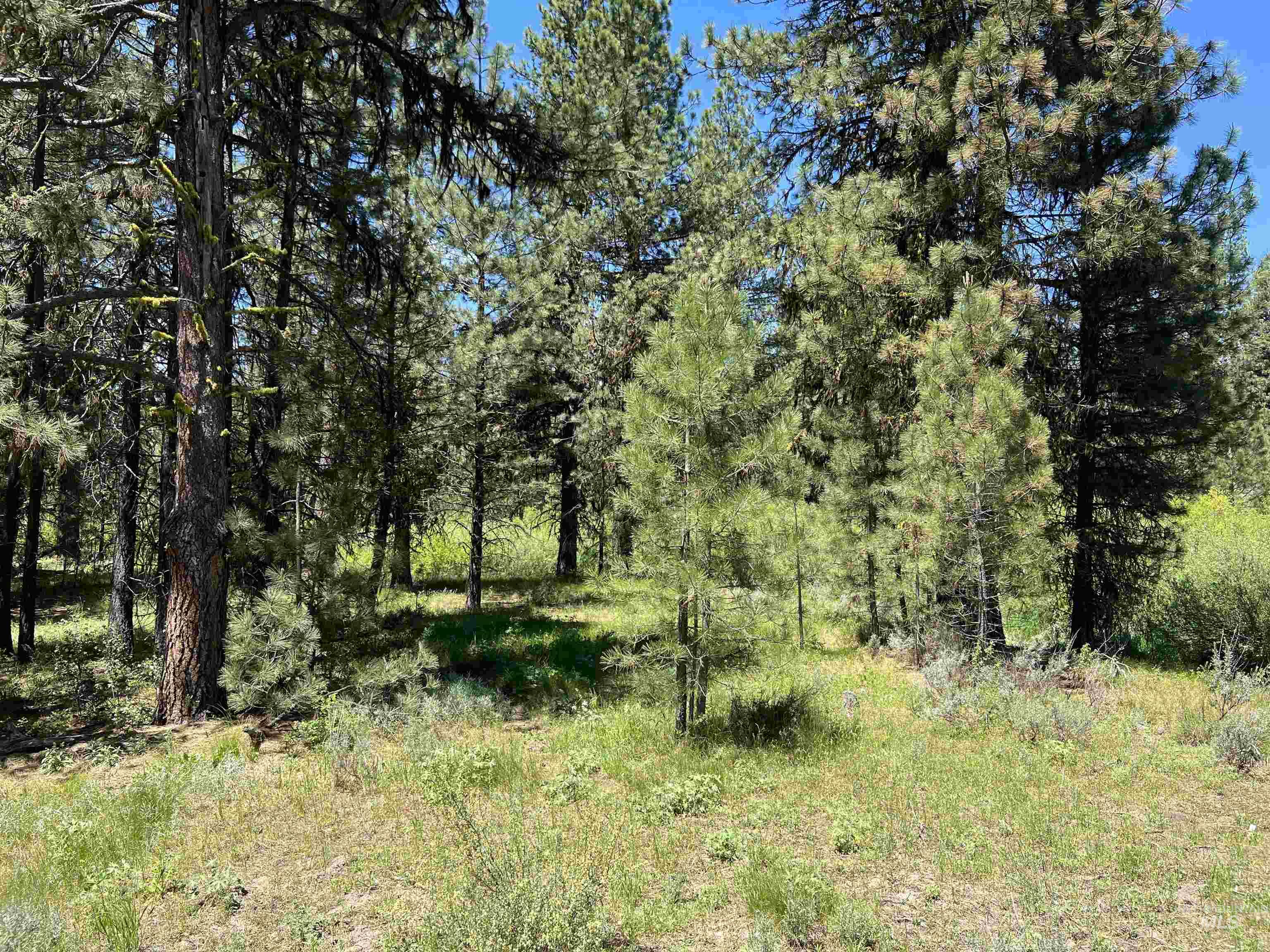 Lot 5 Star Creek Ct, Placerville, Idaho 83631, Land For Sale, Price $195,000, 98930172