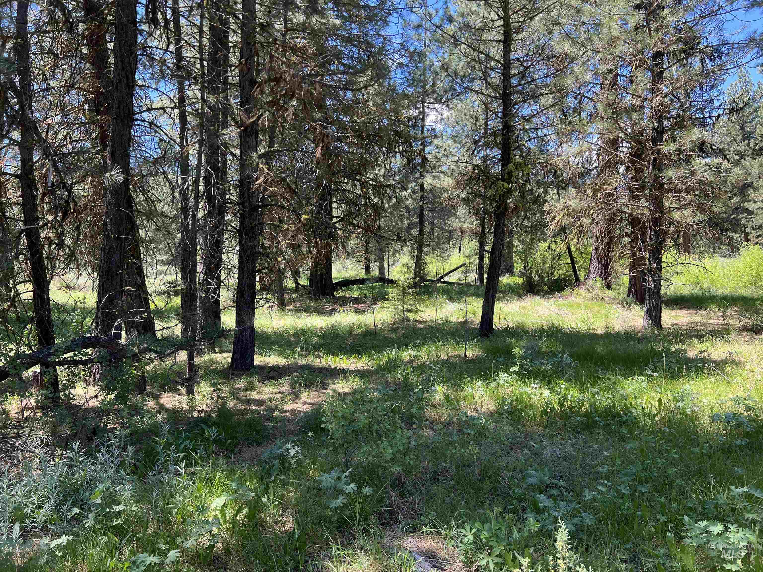Lot 5 Star Creek Ct, Placerville, Idaho 83631, Land For Sale, Price $195,000, 98930172