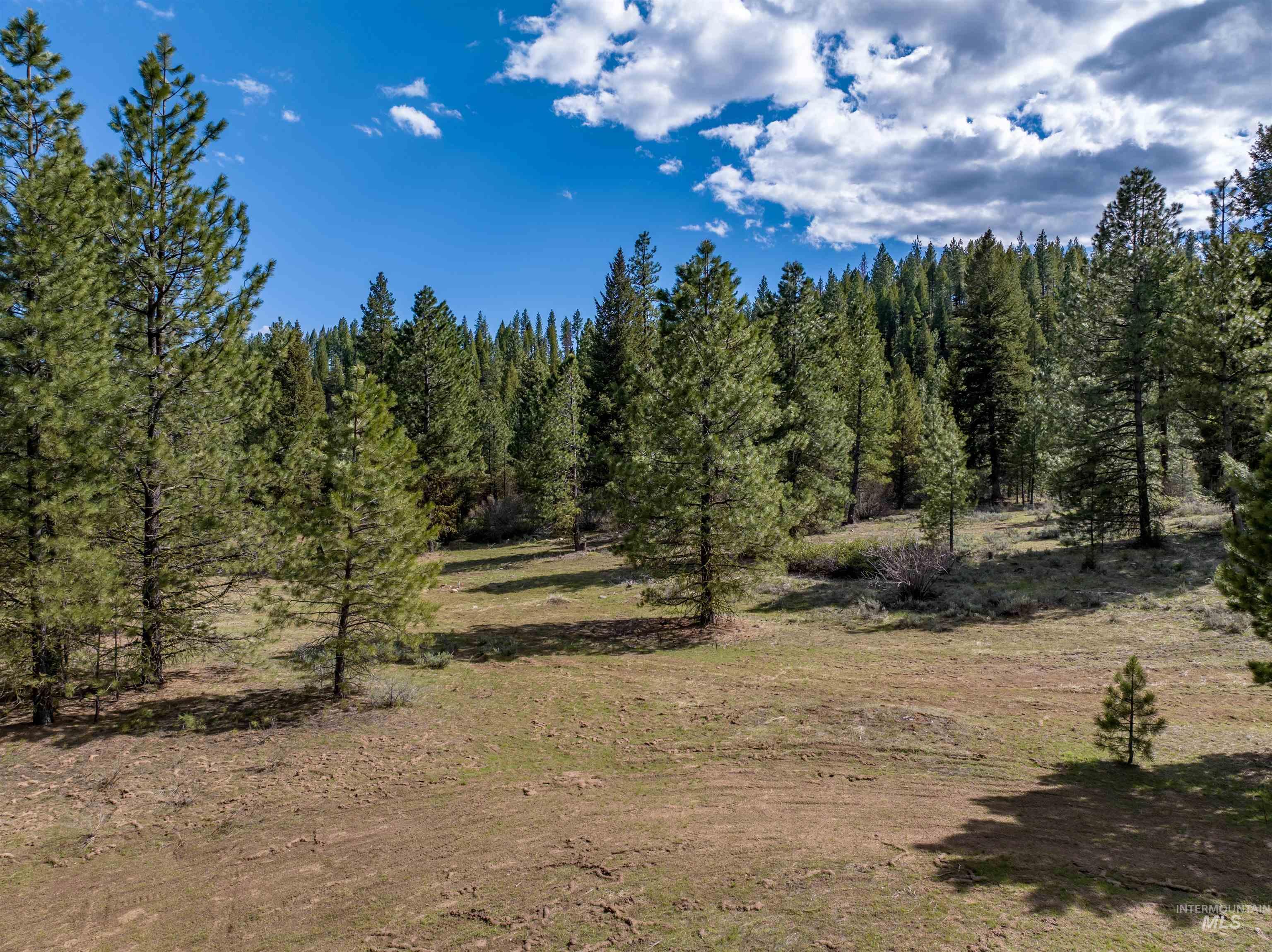 Lot 12 Star Creek Ct, Placerville, Idaho 83631, Land For Sale, Price $225,000, 98930173