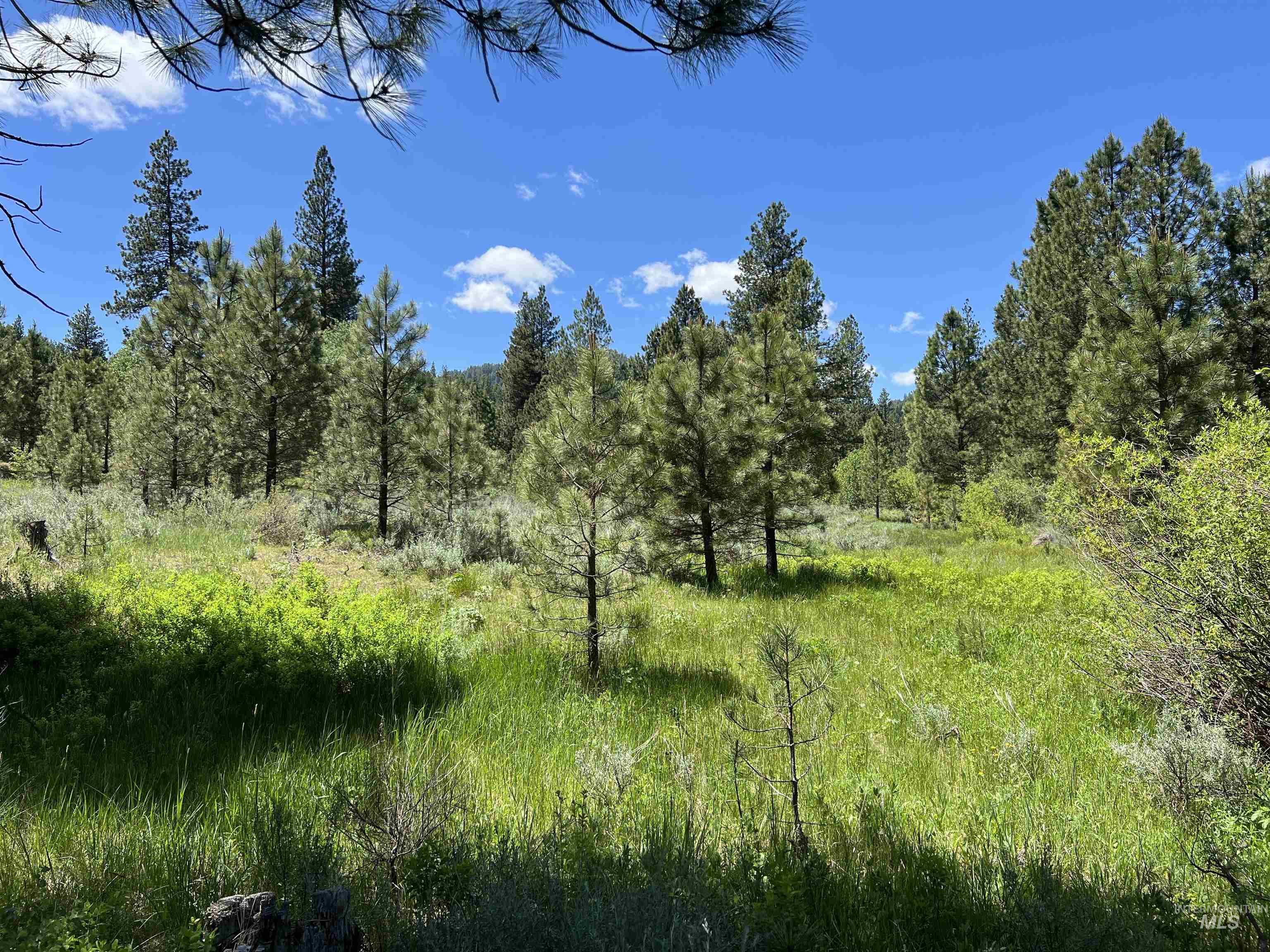 Lot 12 Star Creek Ct, Placerville, Idaho 83631, Land For Sale, Price $225,000, 98930173