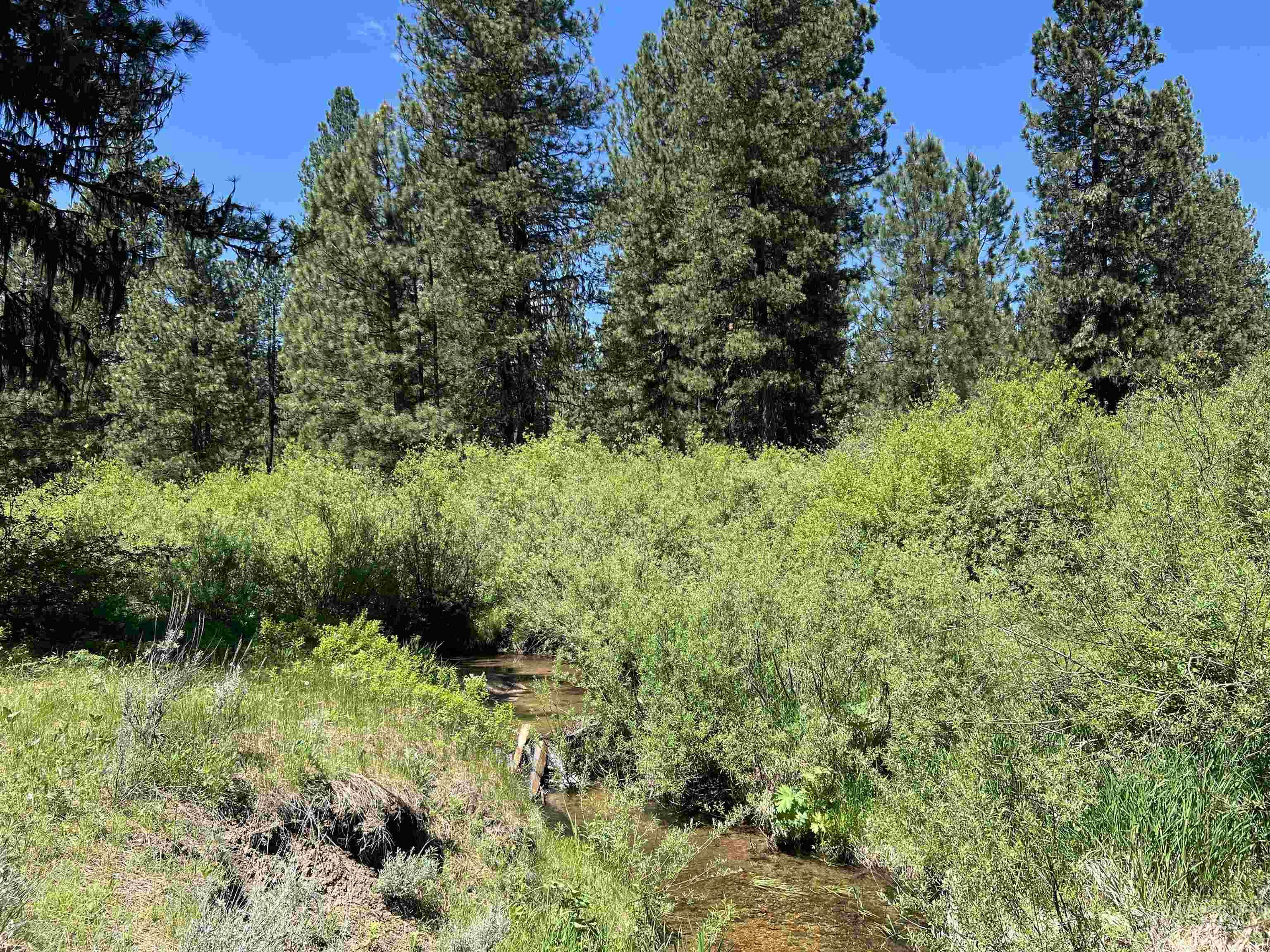 Lot 12 Star Creek Ct, Placerville, Idaho 83631, Land For Sale, Price $225,000, 98930173