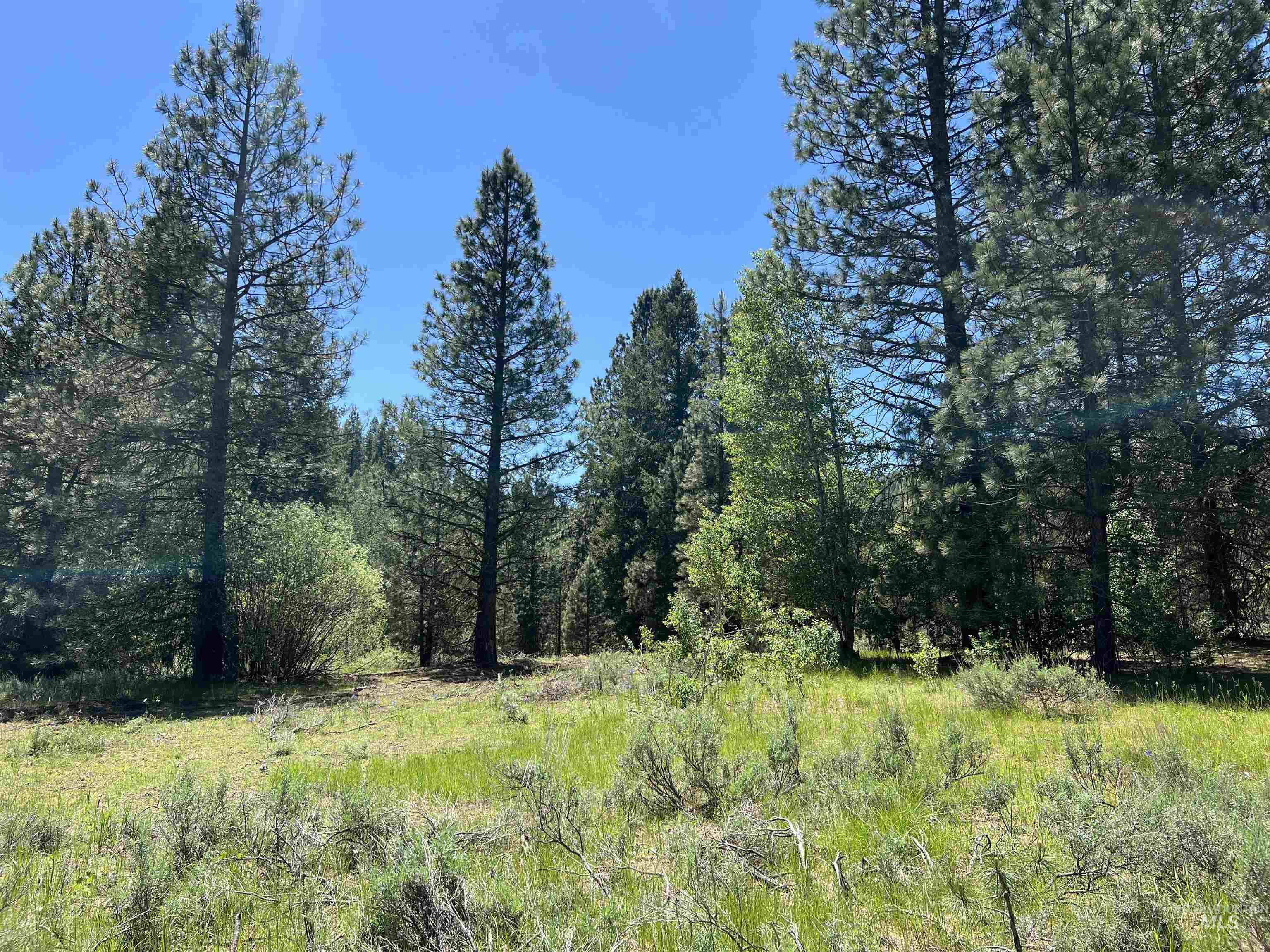 Lot 12 Star Creek Ct, Placerville, Idaho 83631, Land For Sale, Price $225,000, 98930173