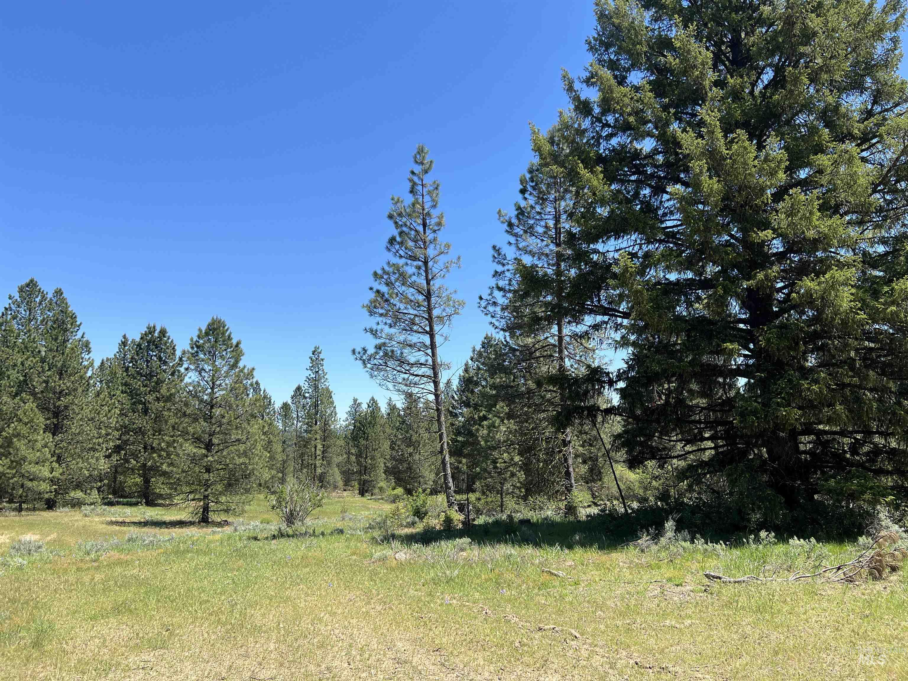 Lot 12 Star Creek Ct, Placerville, Idaho 83631, Land For Sale, Price $225,000, 98930173
