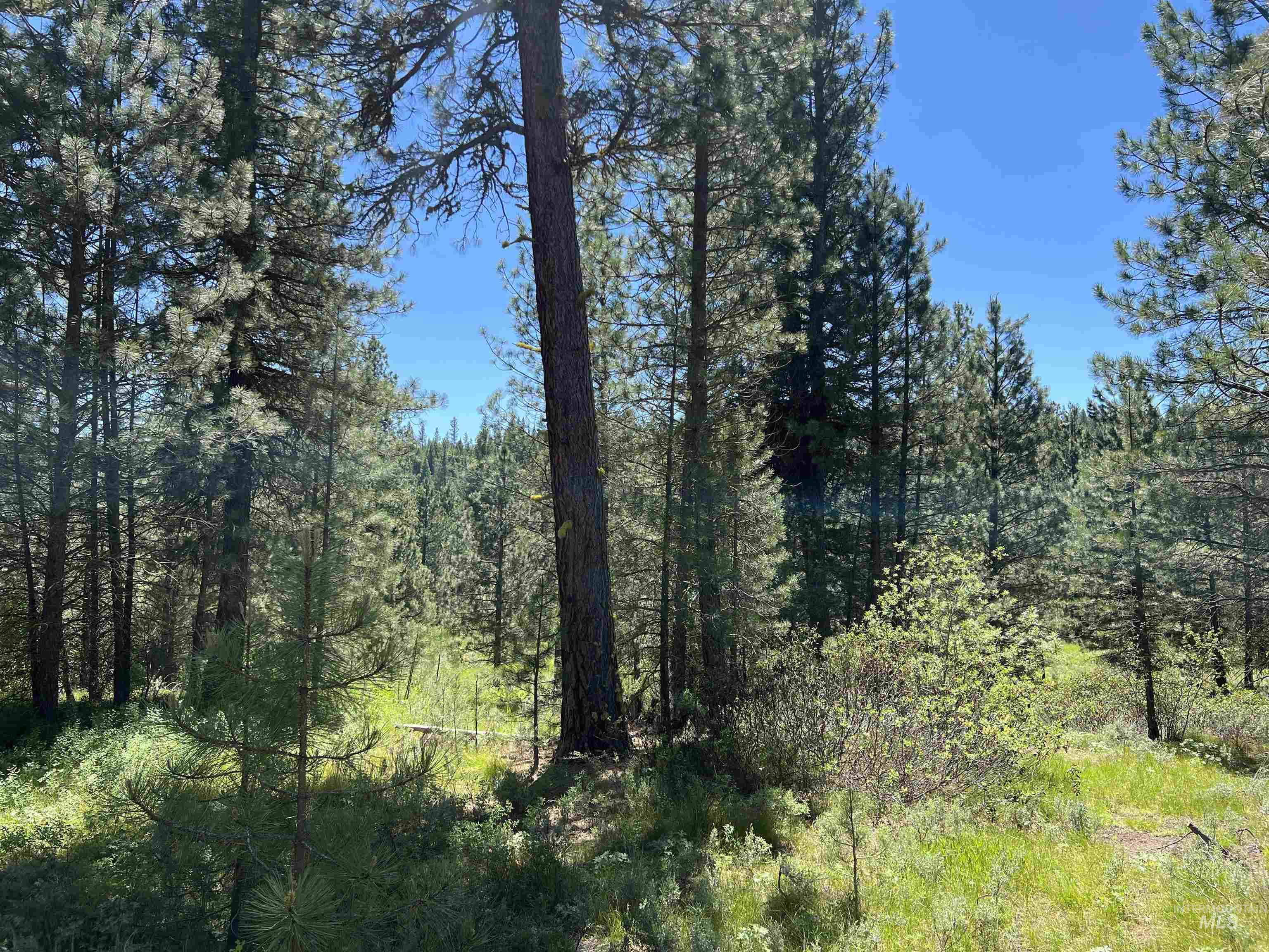 Lot 12 Star Creek Ct, Placerville, Idaho 83631, Land For Sale, Price $225,000, 98930173
