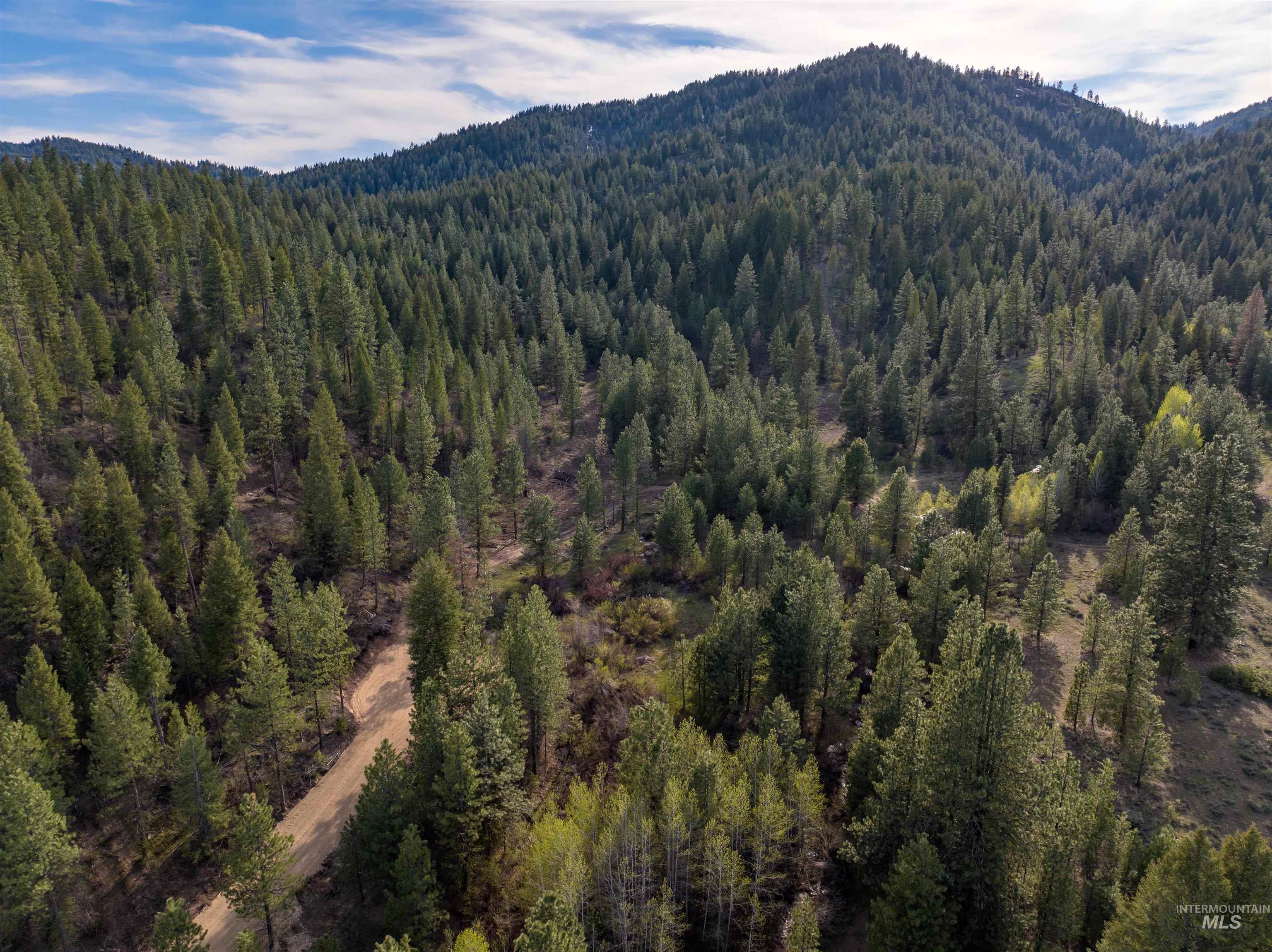 Lot 15 Trail Creek Ct, Placerville, Idaho 83631, Land For Sale, Price $495,000, 98930177