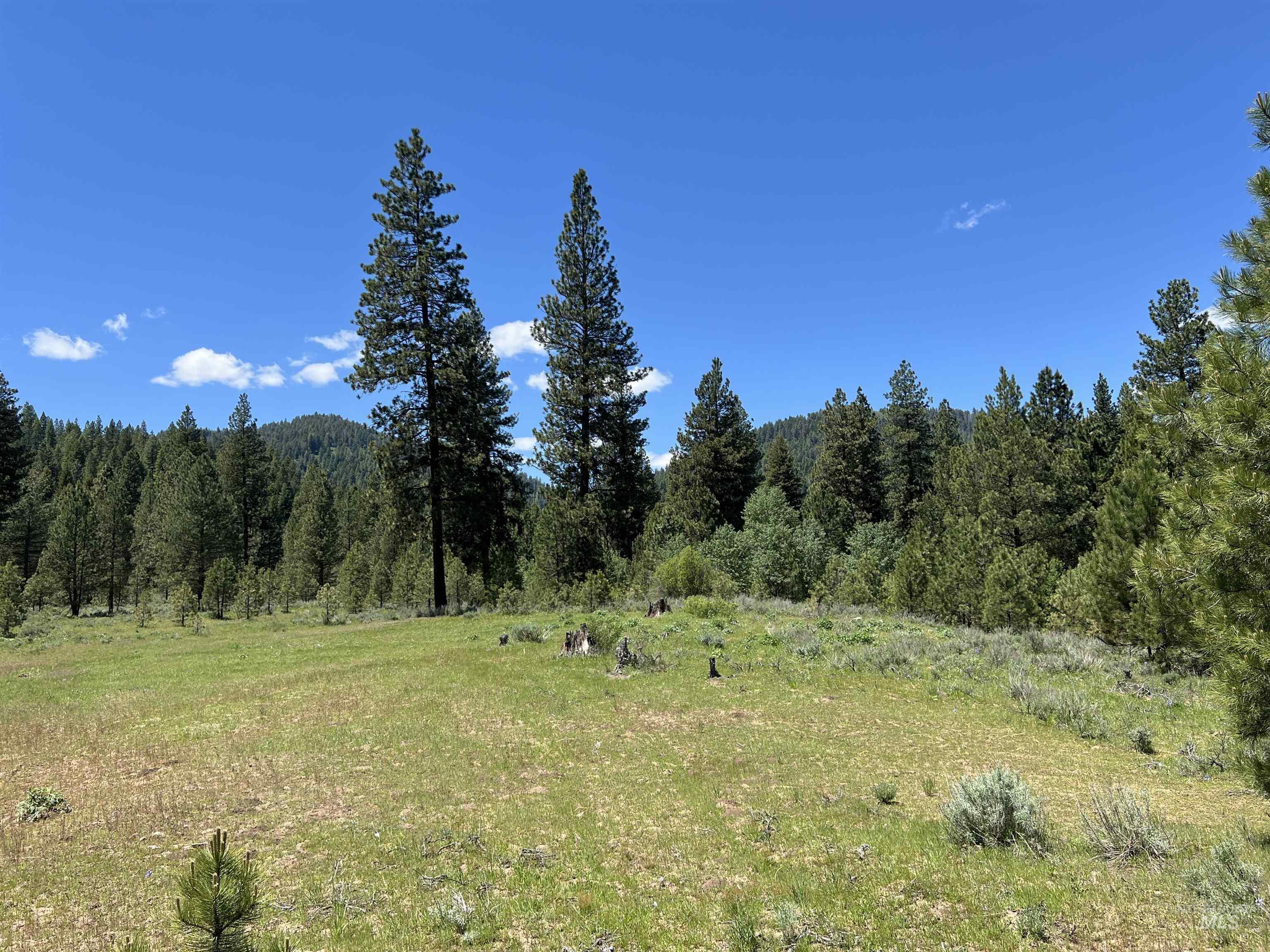 Lot 15 Trail Creek Ct, Placerville, Idaho 83631, Land For Sale, Price $495,000,MLS 98930177