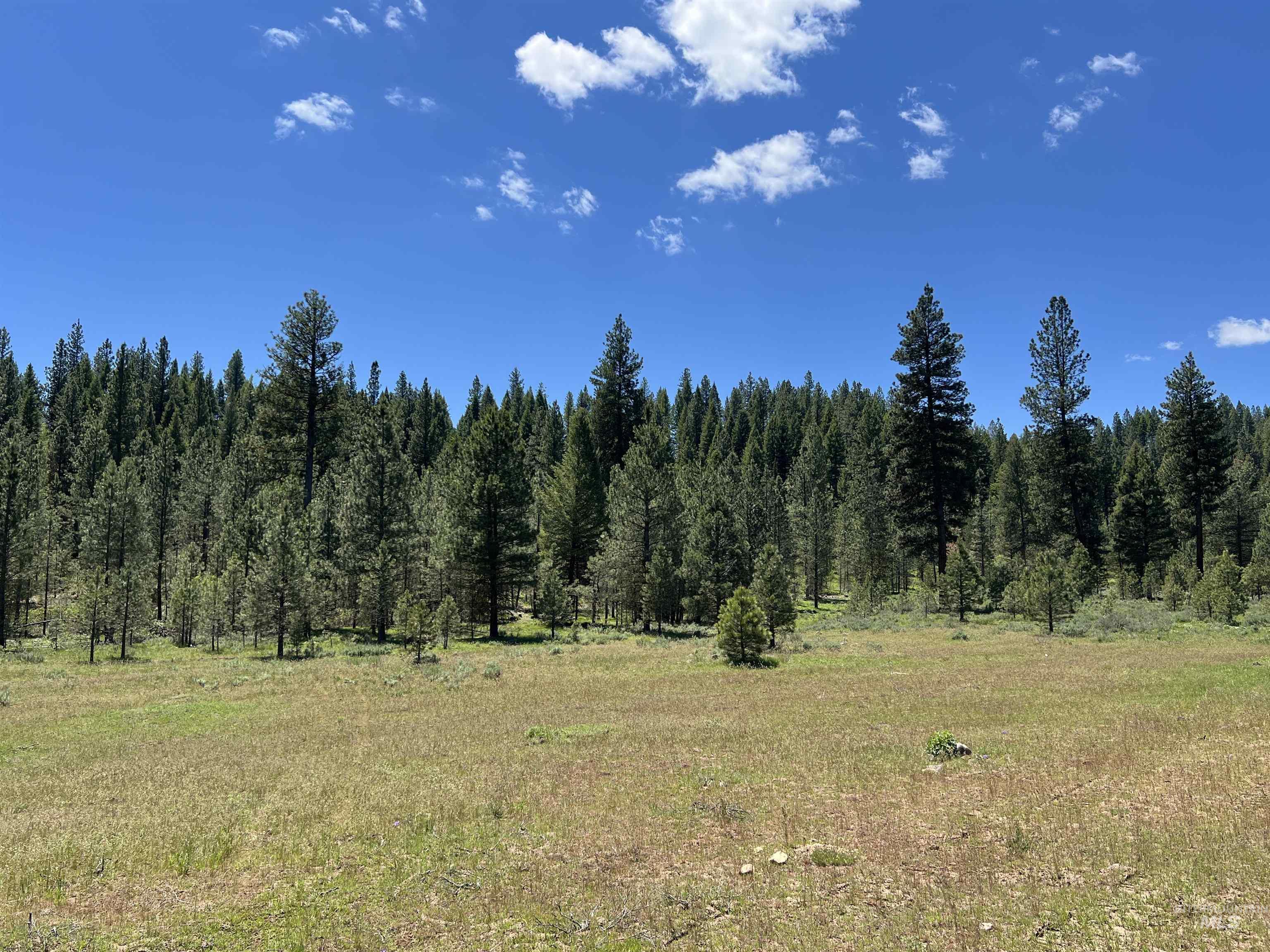 Lot 15 Trail Creek Ct, Placerville, Idaho 83631, Land For Sale, Price $495,000, 98930177