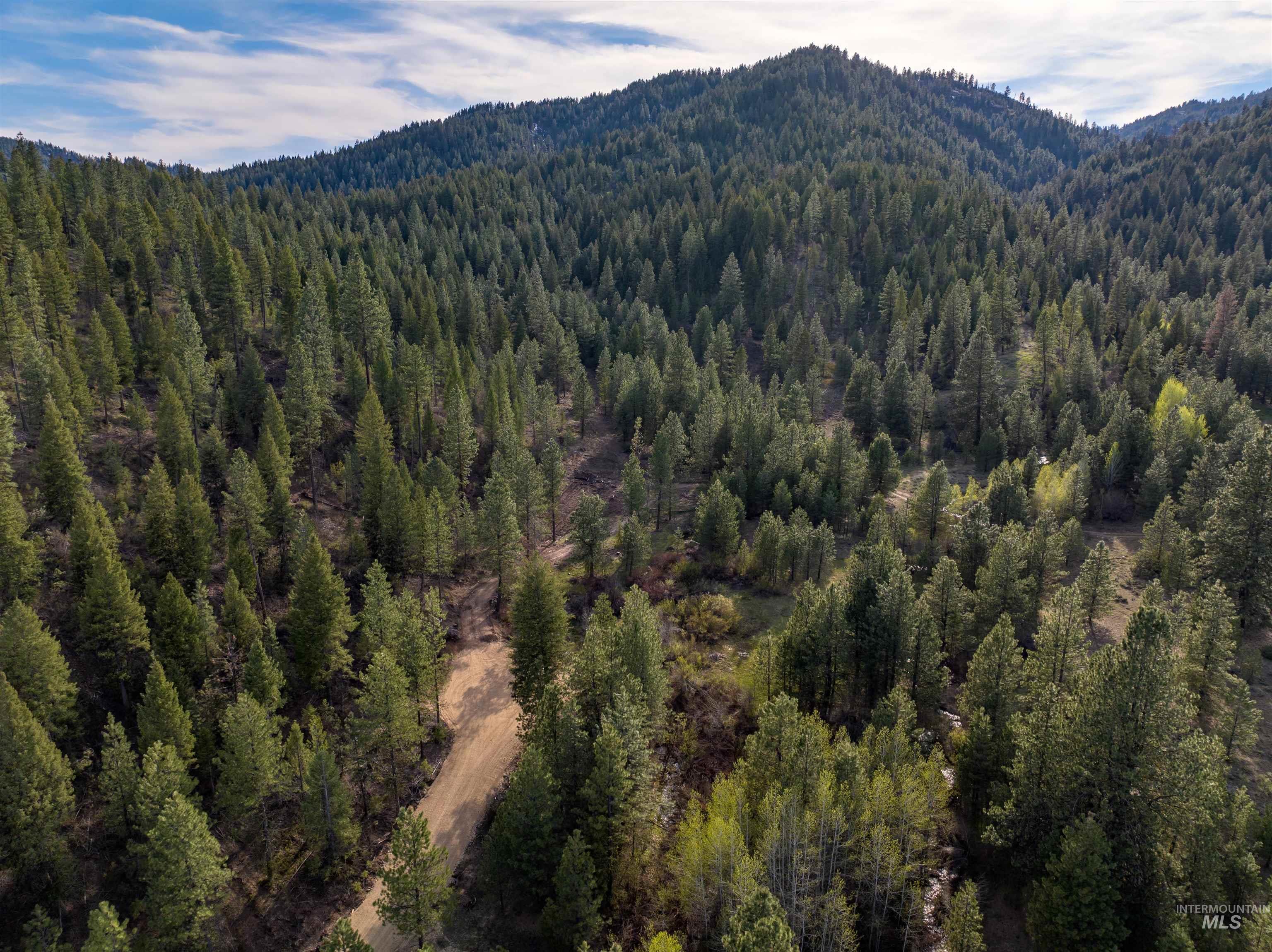Lot 15 Trail Creek Ct, Placerville, Idaho 83631, Land For Sale, Price $495,000, 98930177