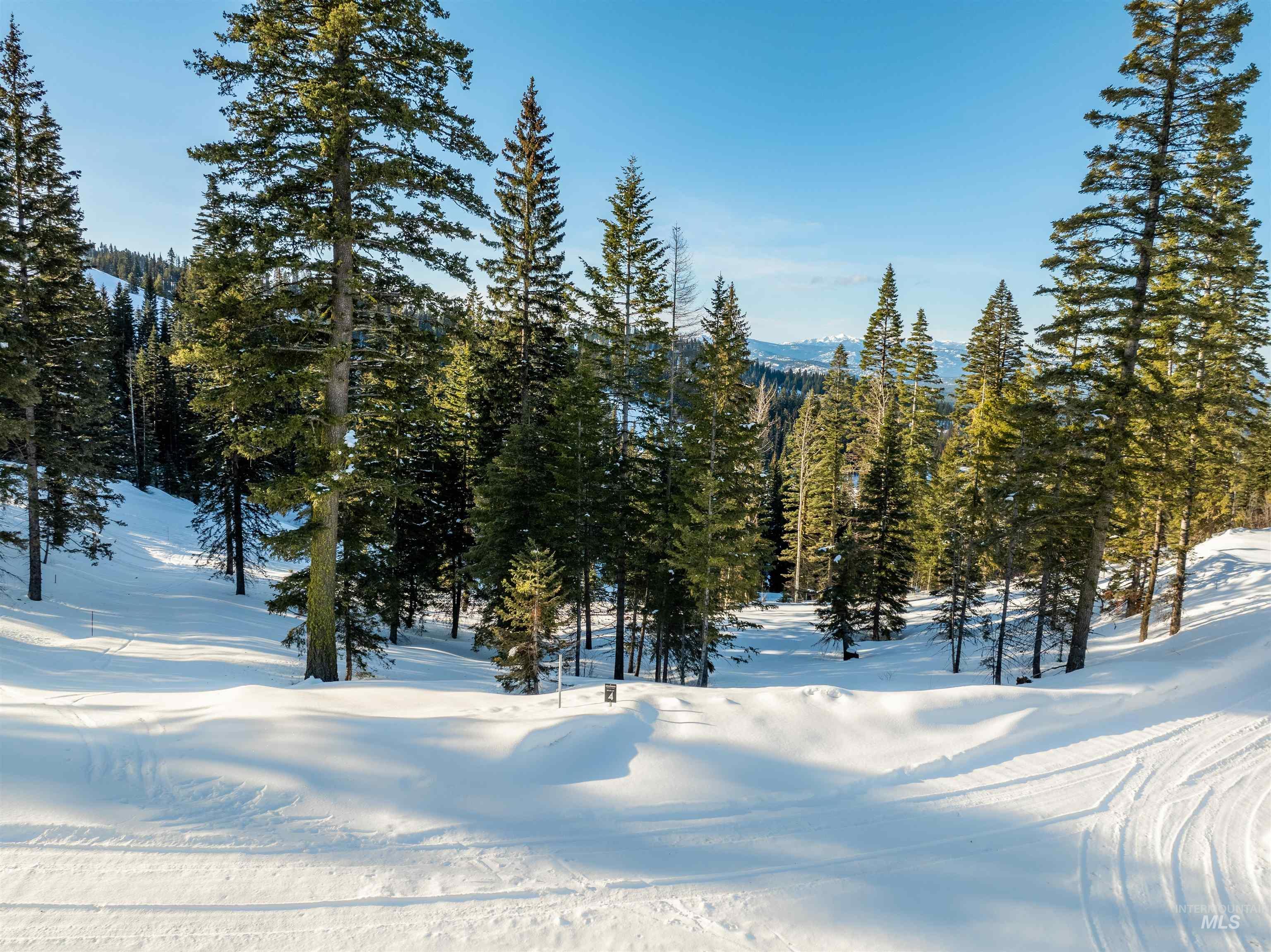 Lot4 TBD North Loop Road, McCall, Idaho 83654, Land For Sale, Price $995,000,MLS 98930202