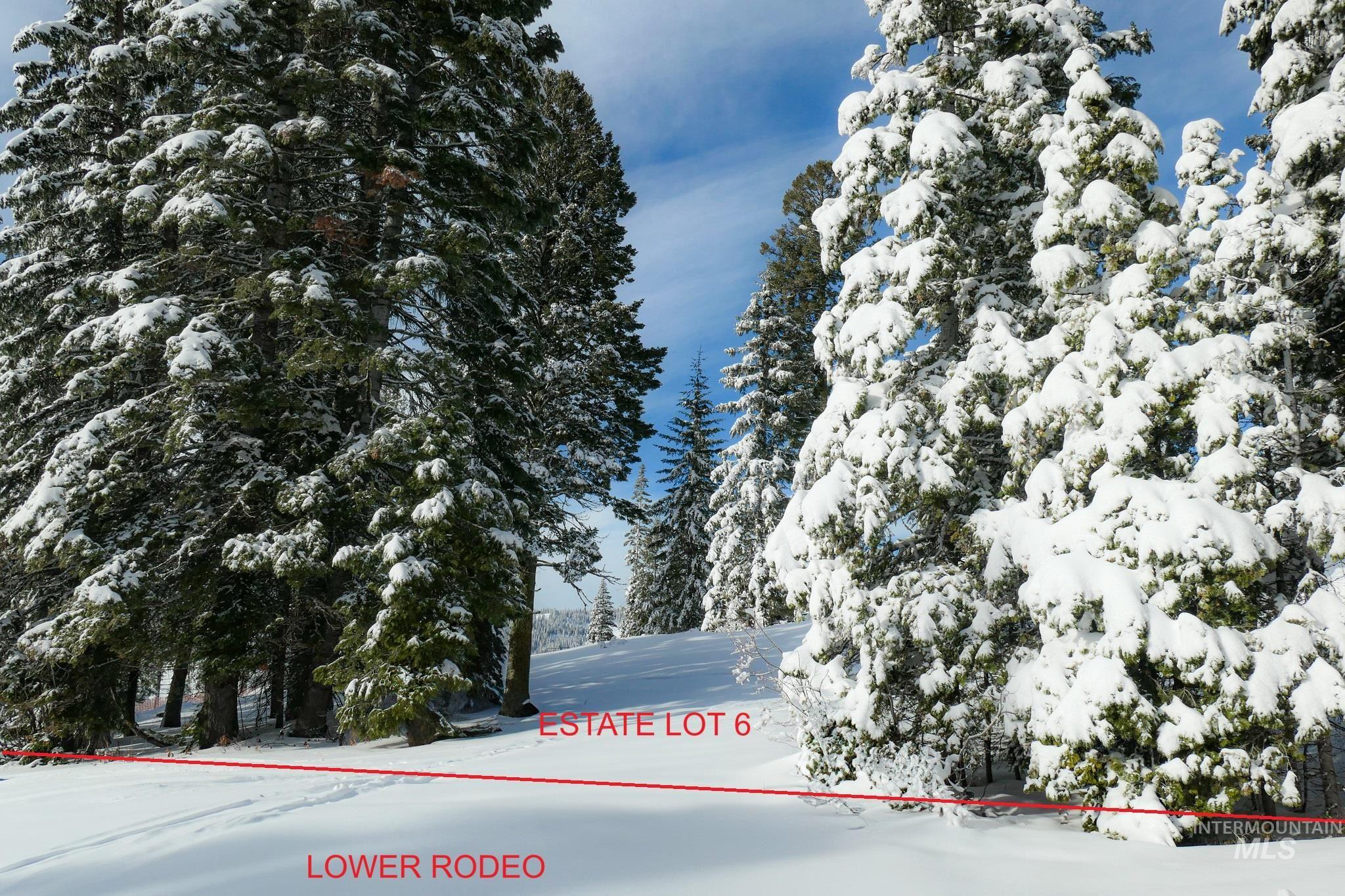 Lot6 TBD North Loop Road, McCall, Idaho 83654, Land For Sale, Price $1,550,000,MLS 98930203