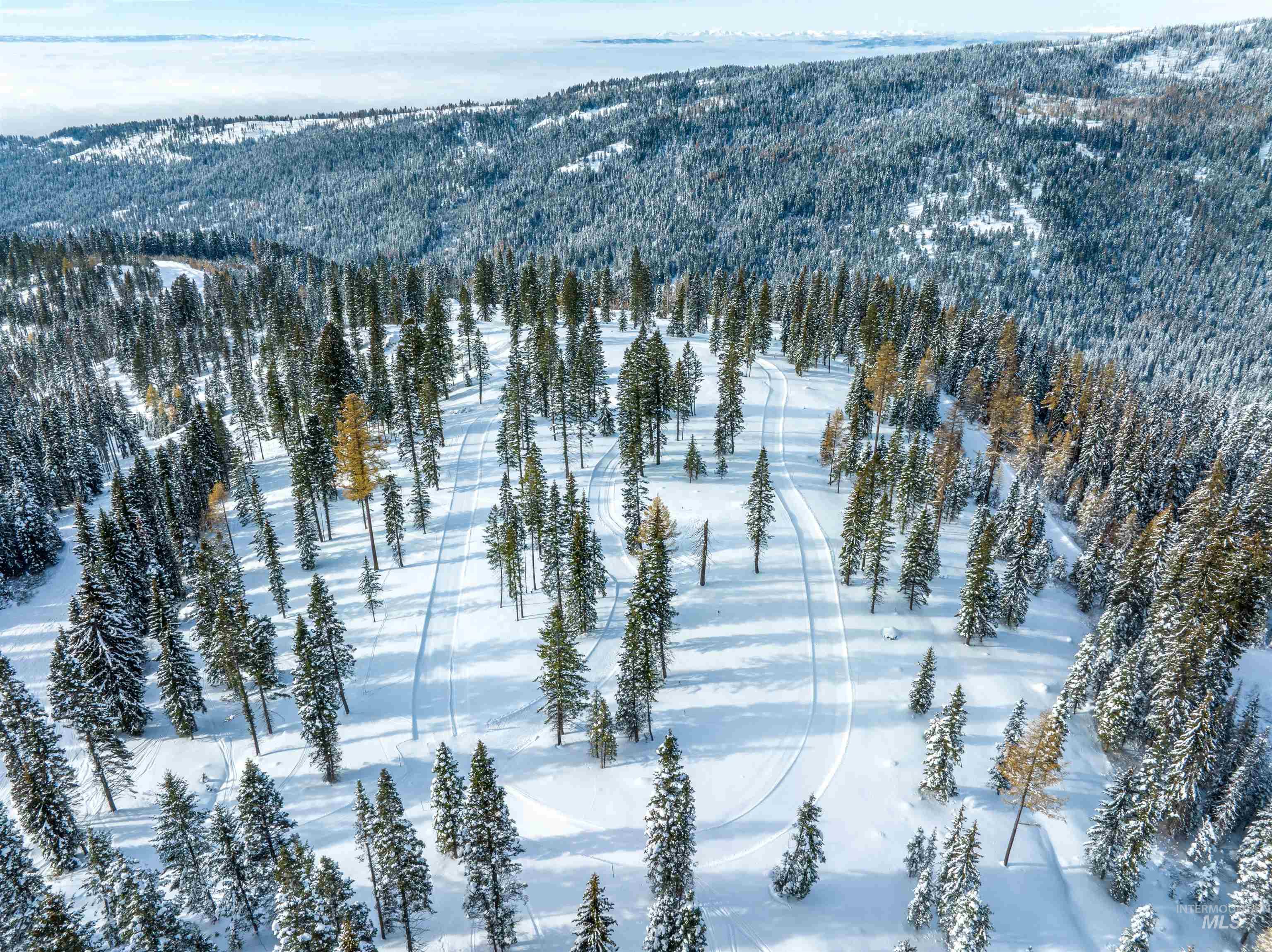 Lot8 TBD North Loop Road, McCall, Idaho 83654, Land For Sale, Price $1,150,000,MLS 98930204