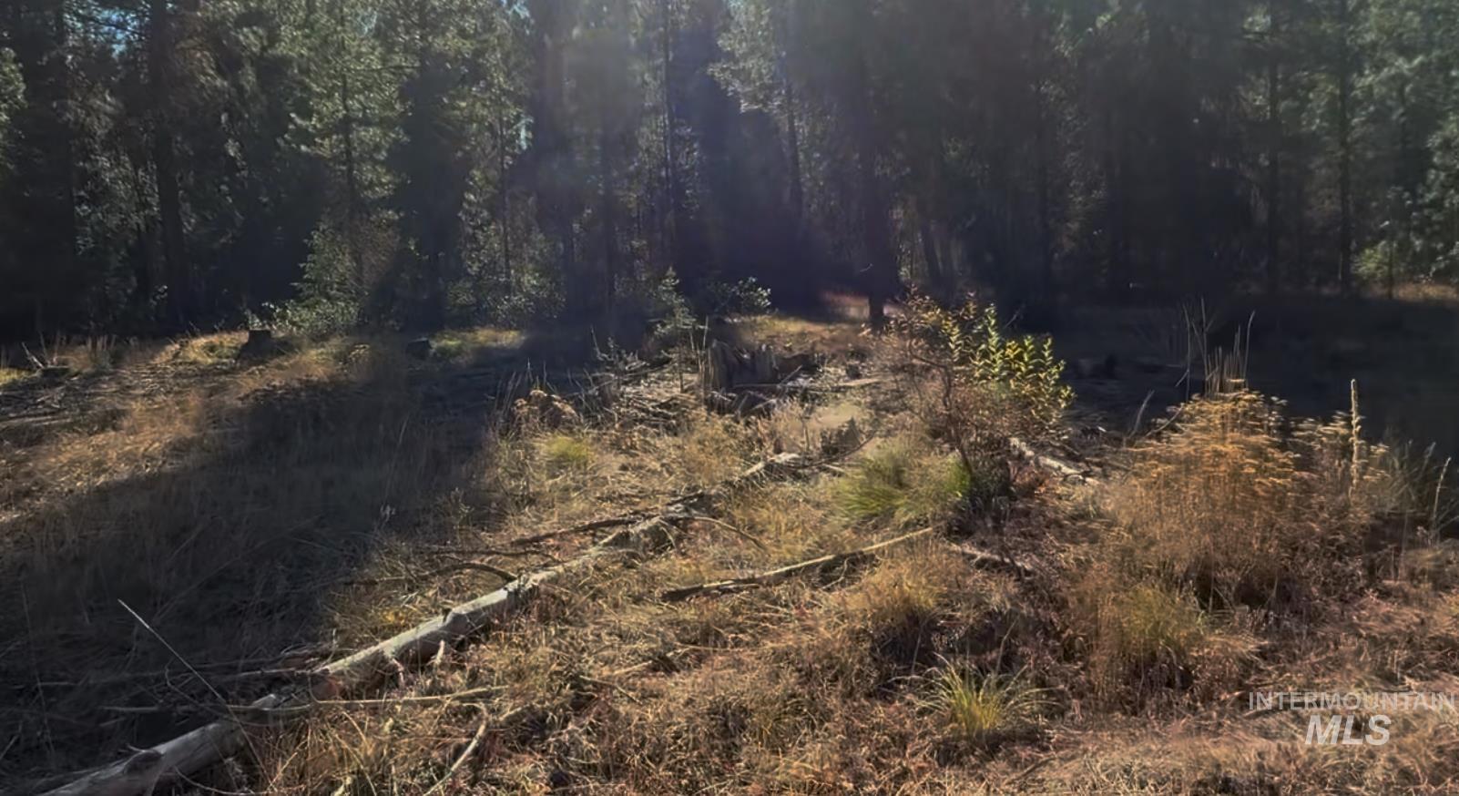 Lot 19 Trail Creek Ct, Placerville, Idaho 83631, Land For Sale, Price $195,000, 98930215