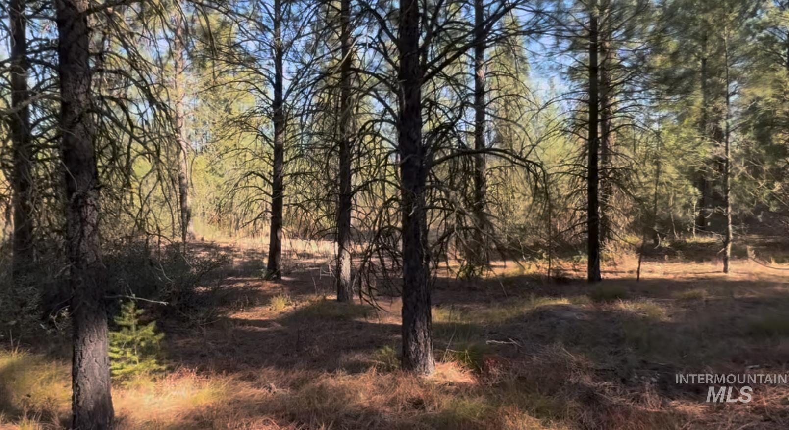 Lot 19 Trail Creek Ct, Placerville, Idaho 83631, Land For Sale, Price $195,000, 98930215