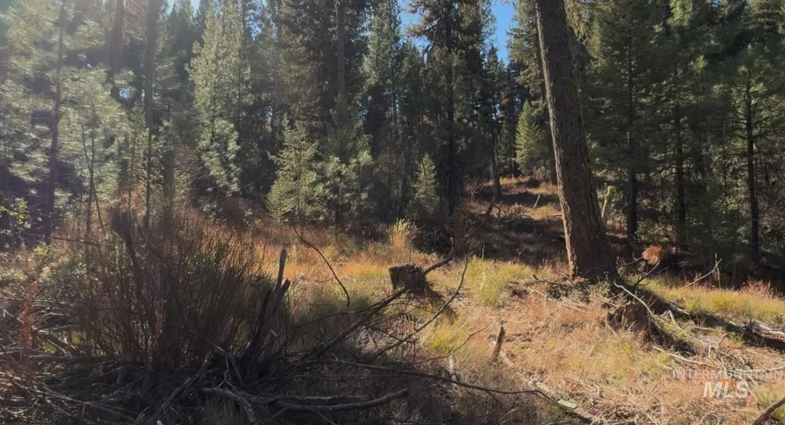 Lot 19 Trail Creek Ct, Placerville, Idaho 83631, Land For Sale, Price $195,000, 98930215