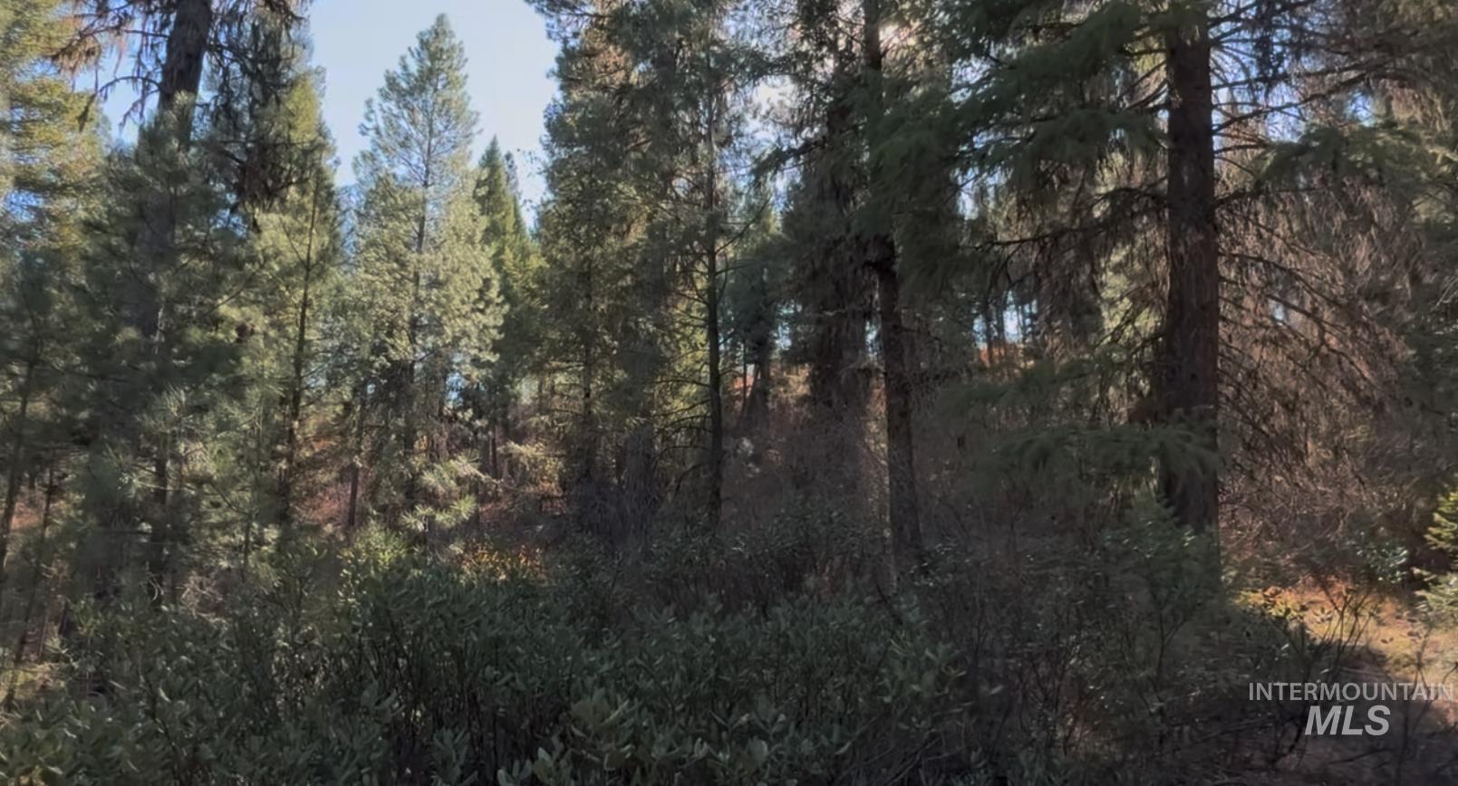 Lot 19 Trail Creek Ct, Placerville, Idaho 83631, Land For Sale, Price $195,000, 98930215