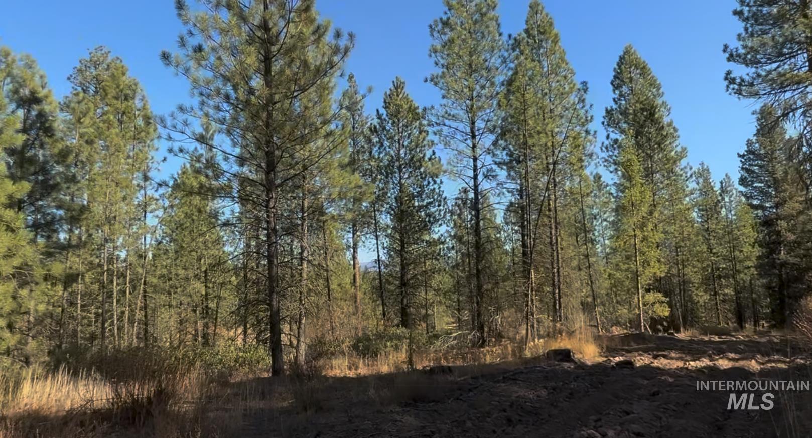 Lot 19 Trail Creek Ct, Placerville, Idaho 83631, Land For Sale, Price $195,000, 98930215