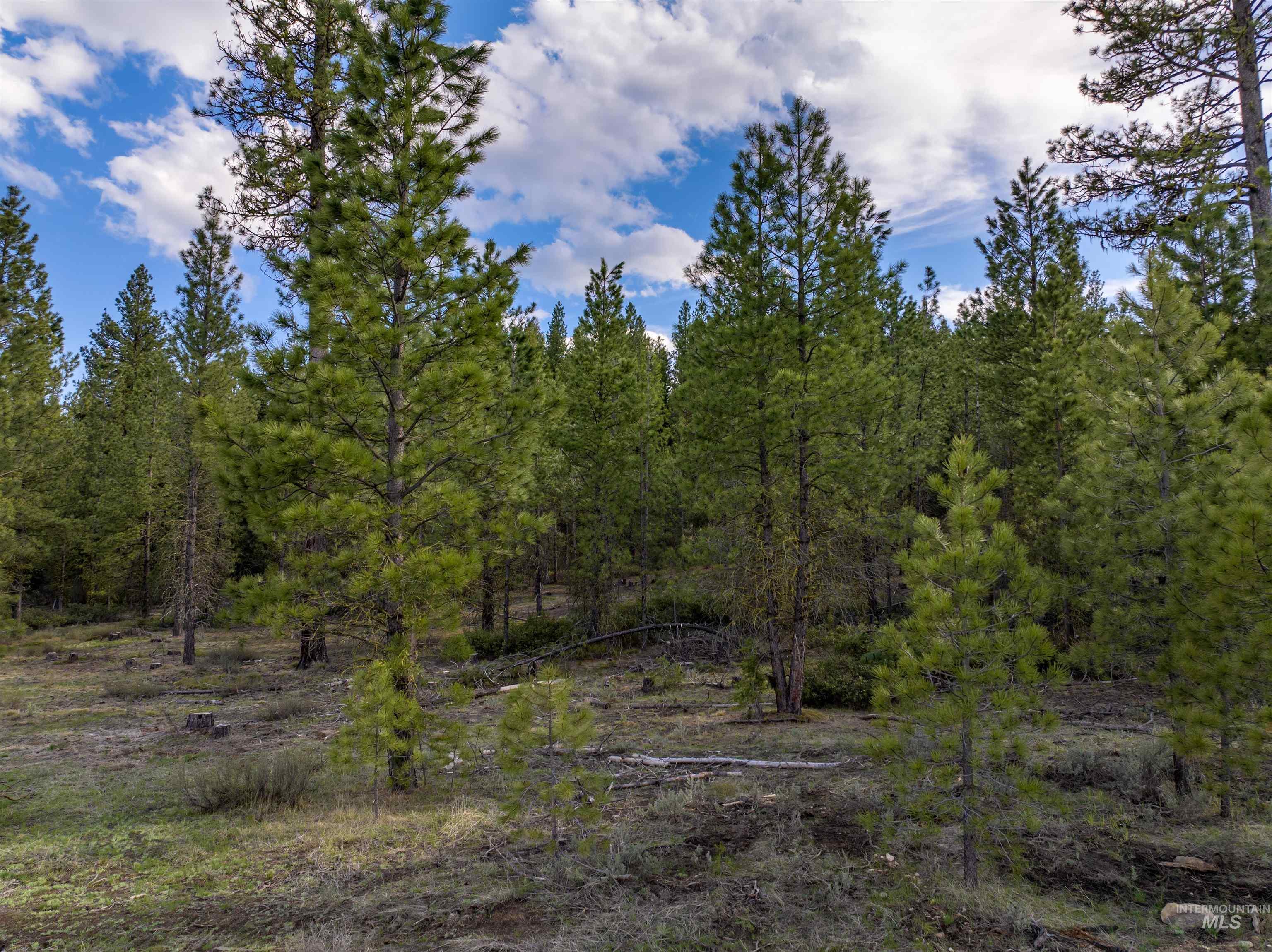 Lot 19 Trail Creek Ct, Placerville, Idaho 83631, Land For Sale, Price $195,000, 98930215