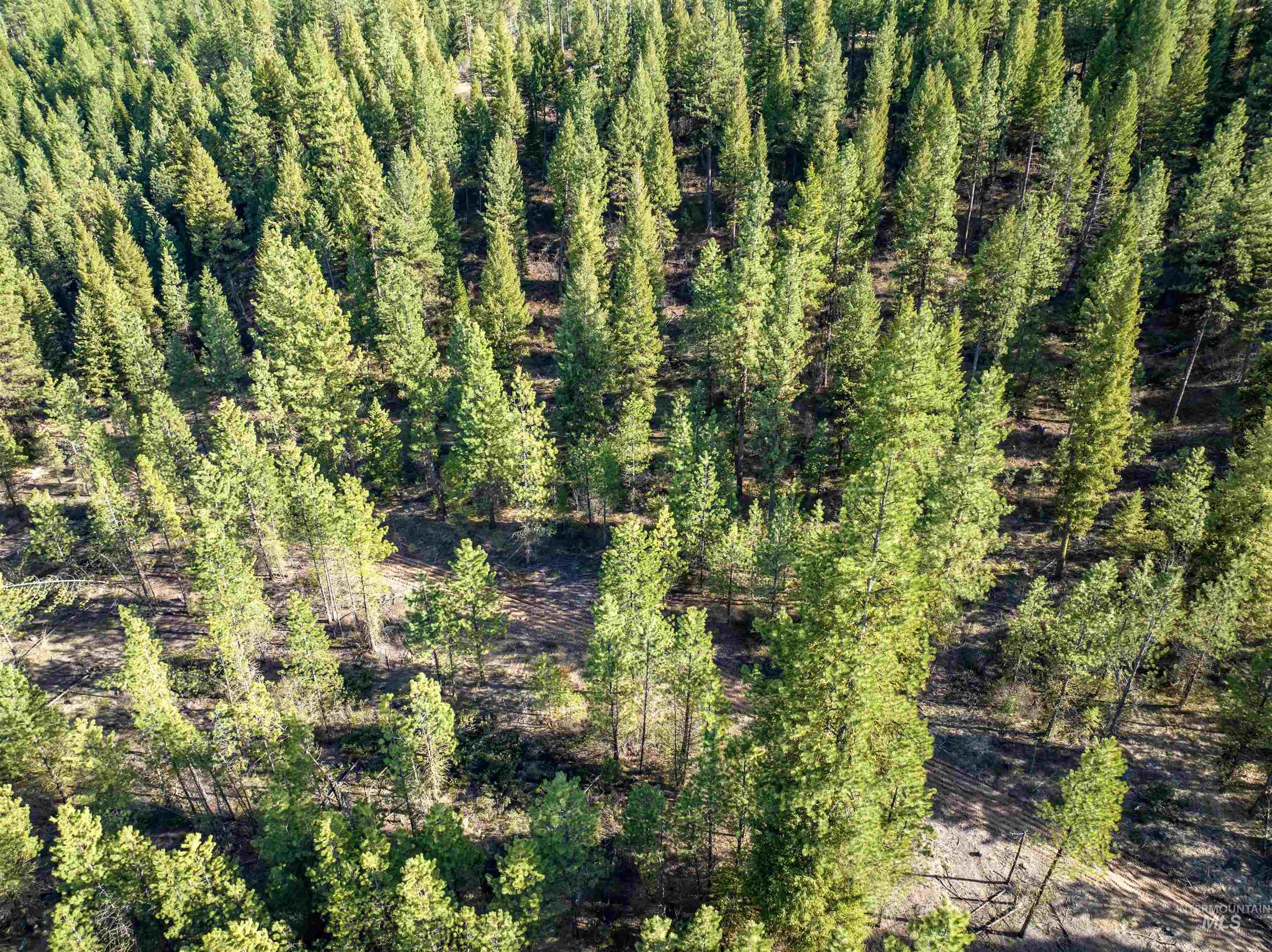 Lot 19 Trail Creek Ct, Placerville, Idaho 83631, Land For Sale, Price $195,000, 98930215