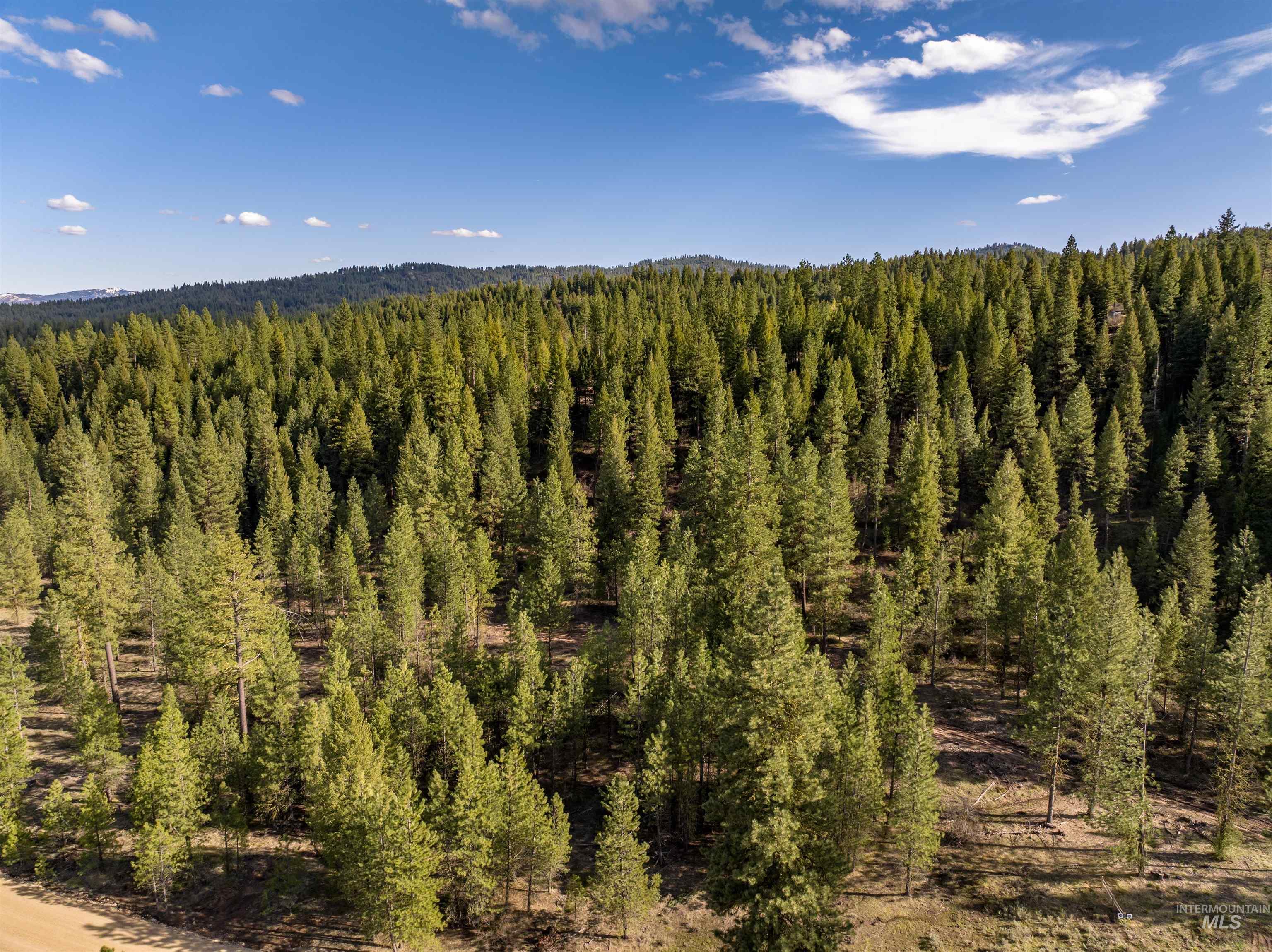 Lot 19 Trail Creek Ct, Placerville, Idaho 83631, Land For Sale, Price $195,000, 98930215