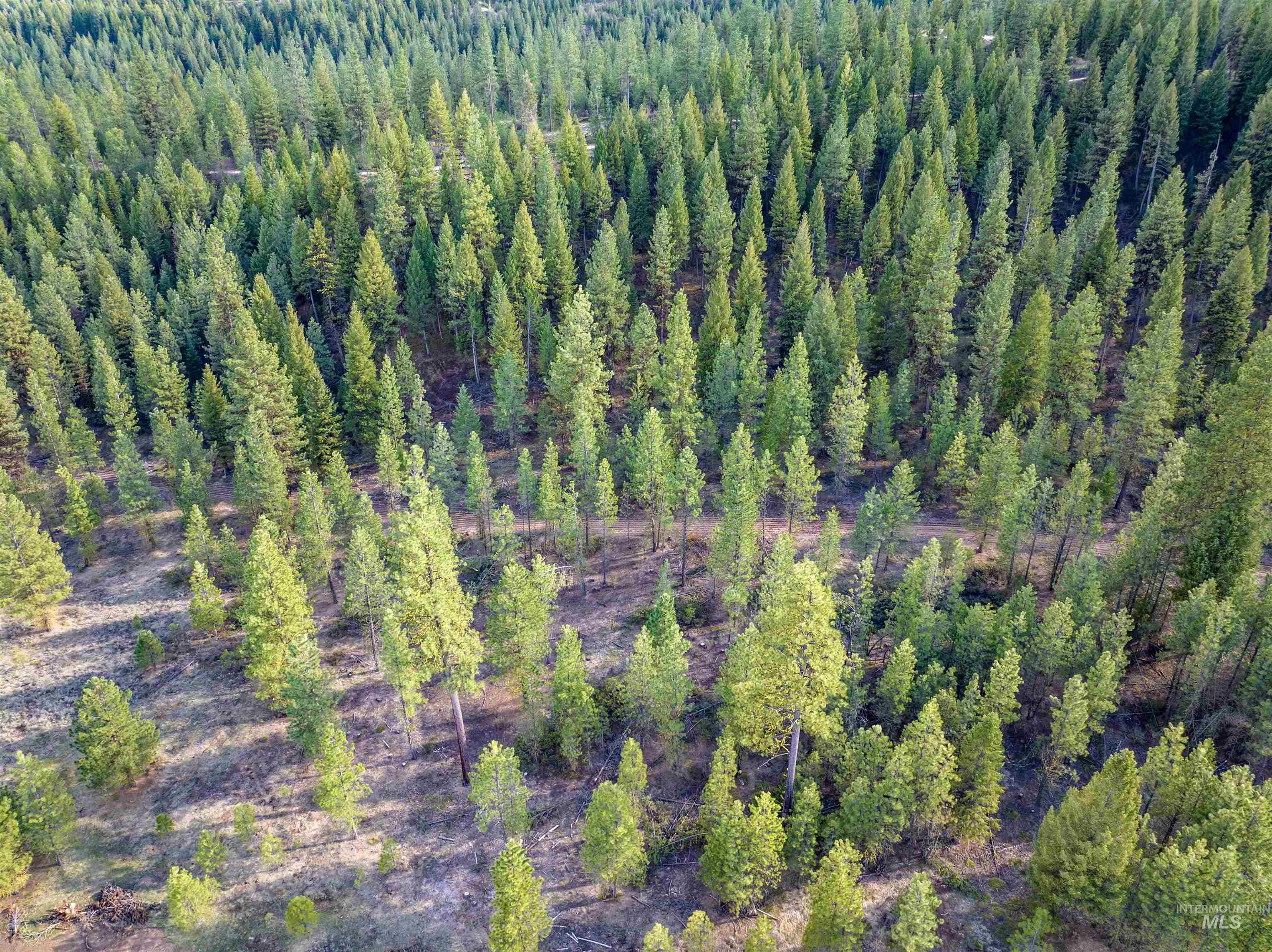 Lot 19 Trail Creek Ct, Placerville, Idaho 83631, Land For Sale, Price $195,000, 98930215