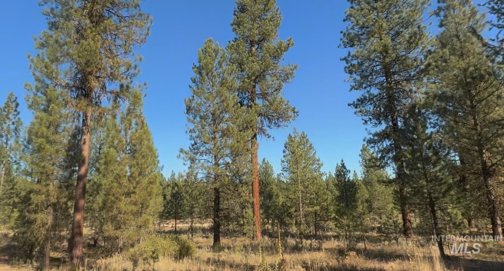 Lot 21 Trail Creek Ct, Placerville, Idaho 83631, Land For Sale, Price $135,000,MLS 98930216