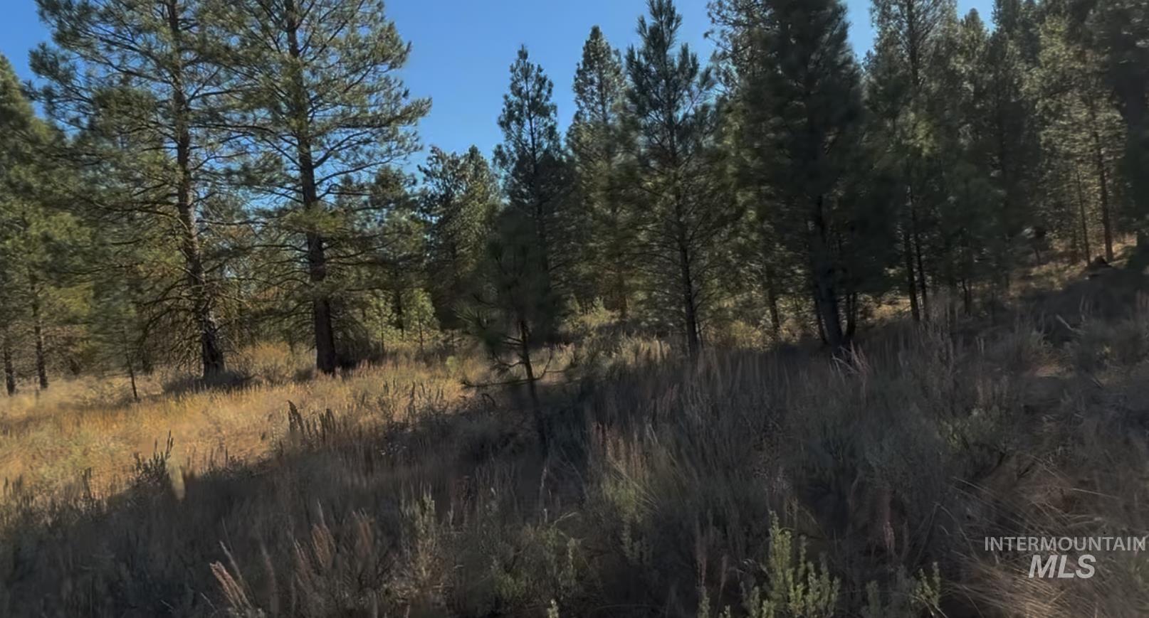 Lot 21 Trail Creek Ct, Placerville, Idaho 83631, Land For Sale, Price $135,000,MLS 98930216