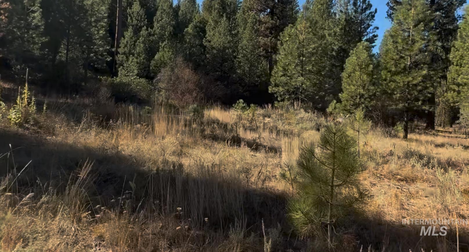 Lot 23 Trail Creek Ct, Placerville, Idaho 83631, Land For Sale, Price $175,000, 98930217