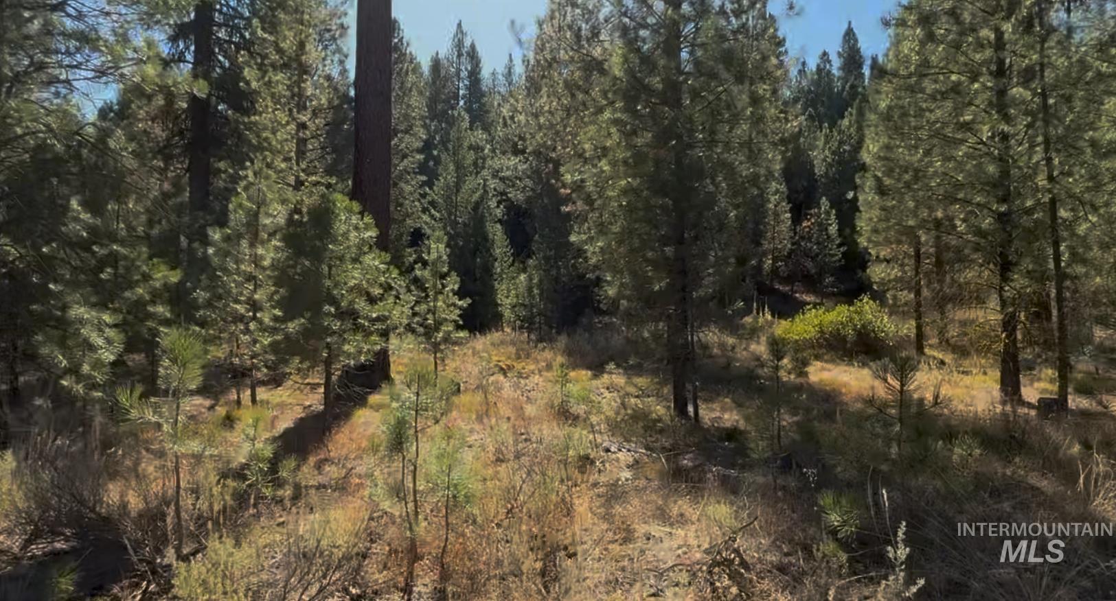 Lot 23 Trail Creek Ct, Placerville, Idaho 83631, Land For Sale, Price $175,000, 98930217