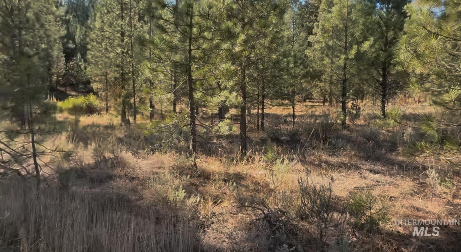 Lot 23 Trail Creek Ct, Placerville, Idaho 83631, Land For Sale, Price $175,000, 98930217