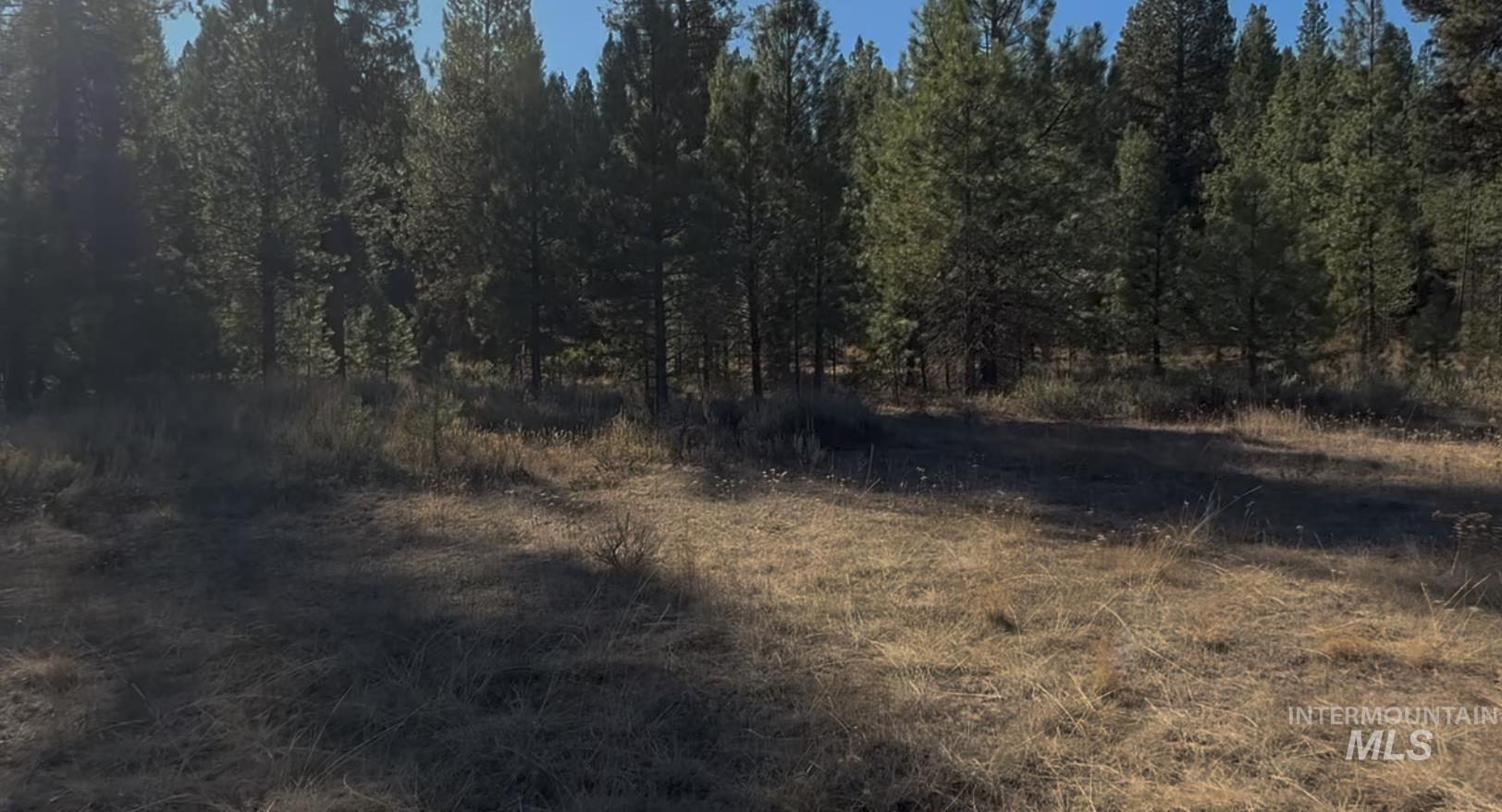 Lot 23 Trail Creek Ct, Placerville, Idaho 83631, Land For Sale, Price $175,000, 98930217