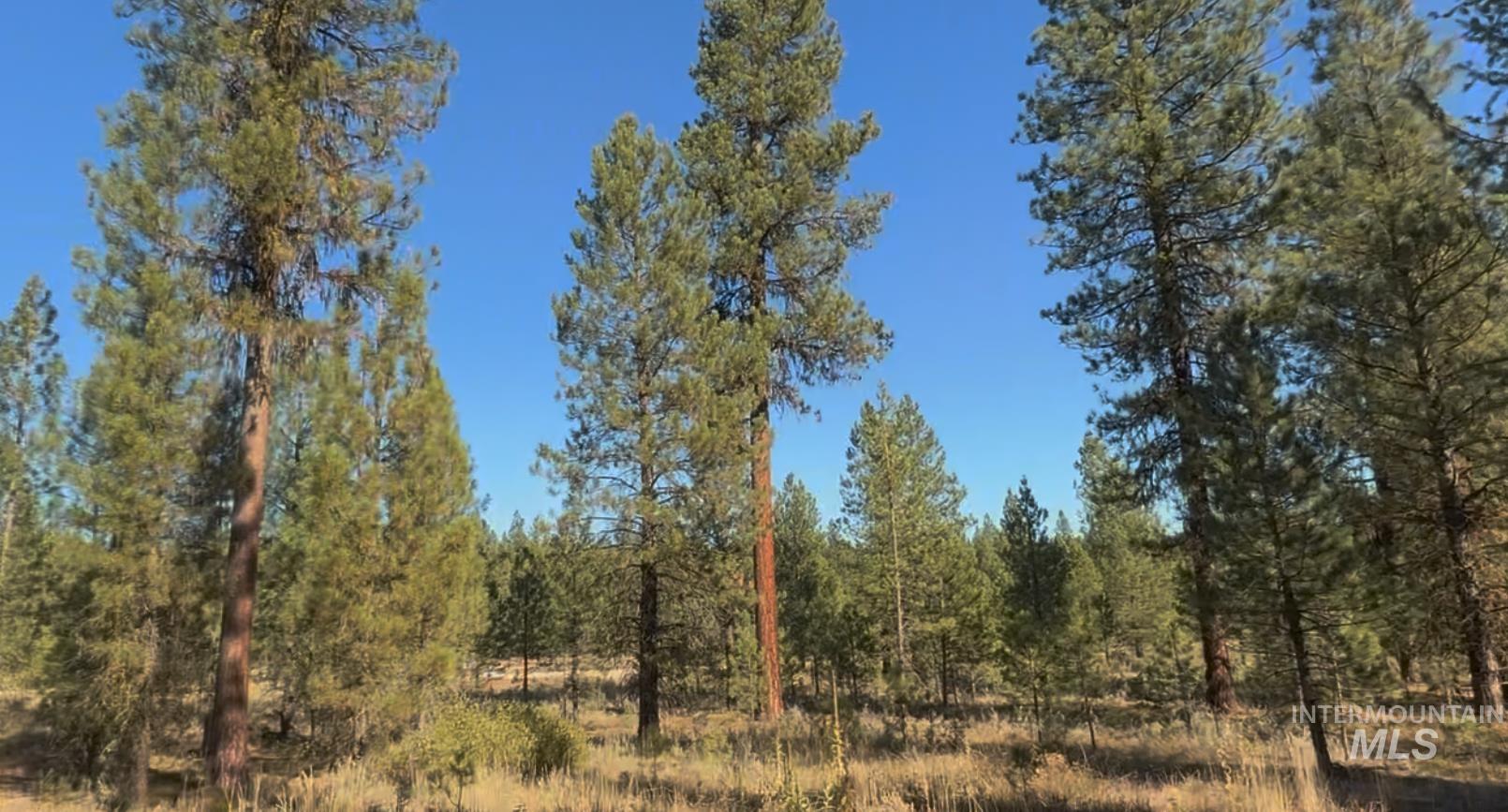 Lot 23 Trail Creek Ct, Placerville, Idaho 83631, Land For Sale, Price $175,000, 98930217